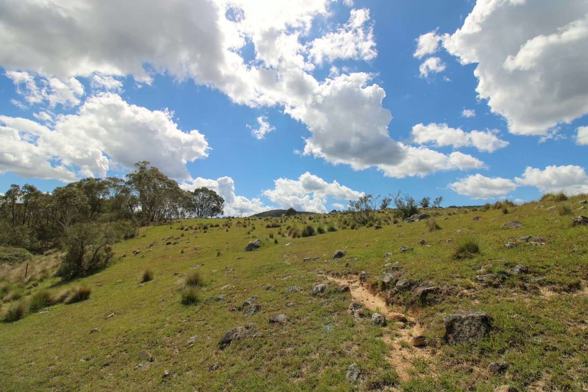 1157 Jerrabattgulla Road, Jerrabattgulla For Sale by Farmbuy.com - image 25