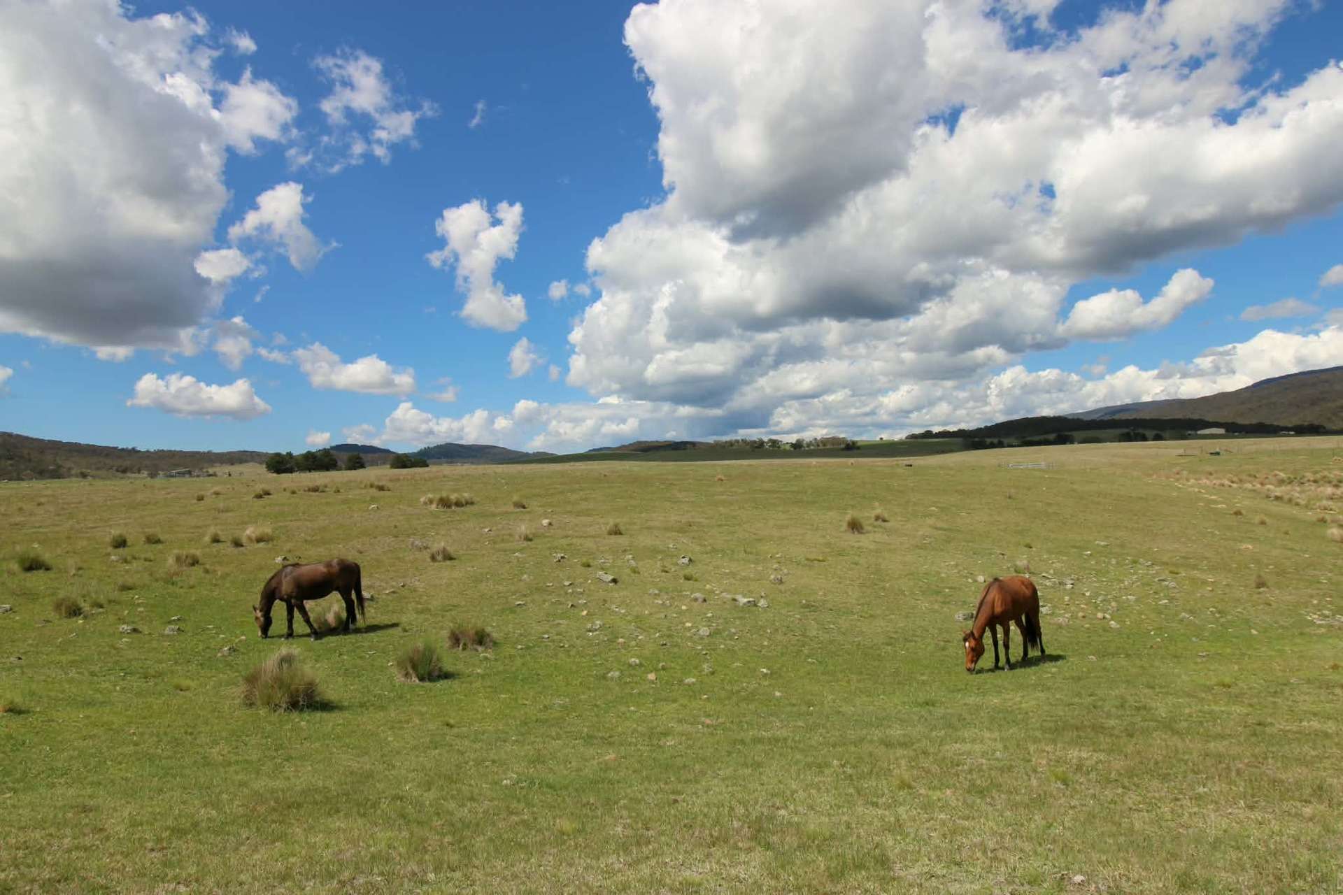 1157 Jerrabattgulla Road, Jerrabattgulla For Sale by Farmbuy.com - image 22