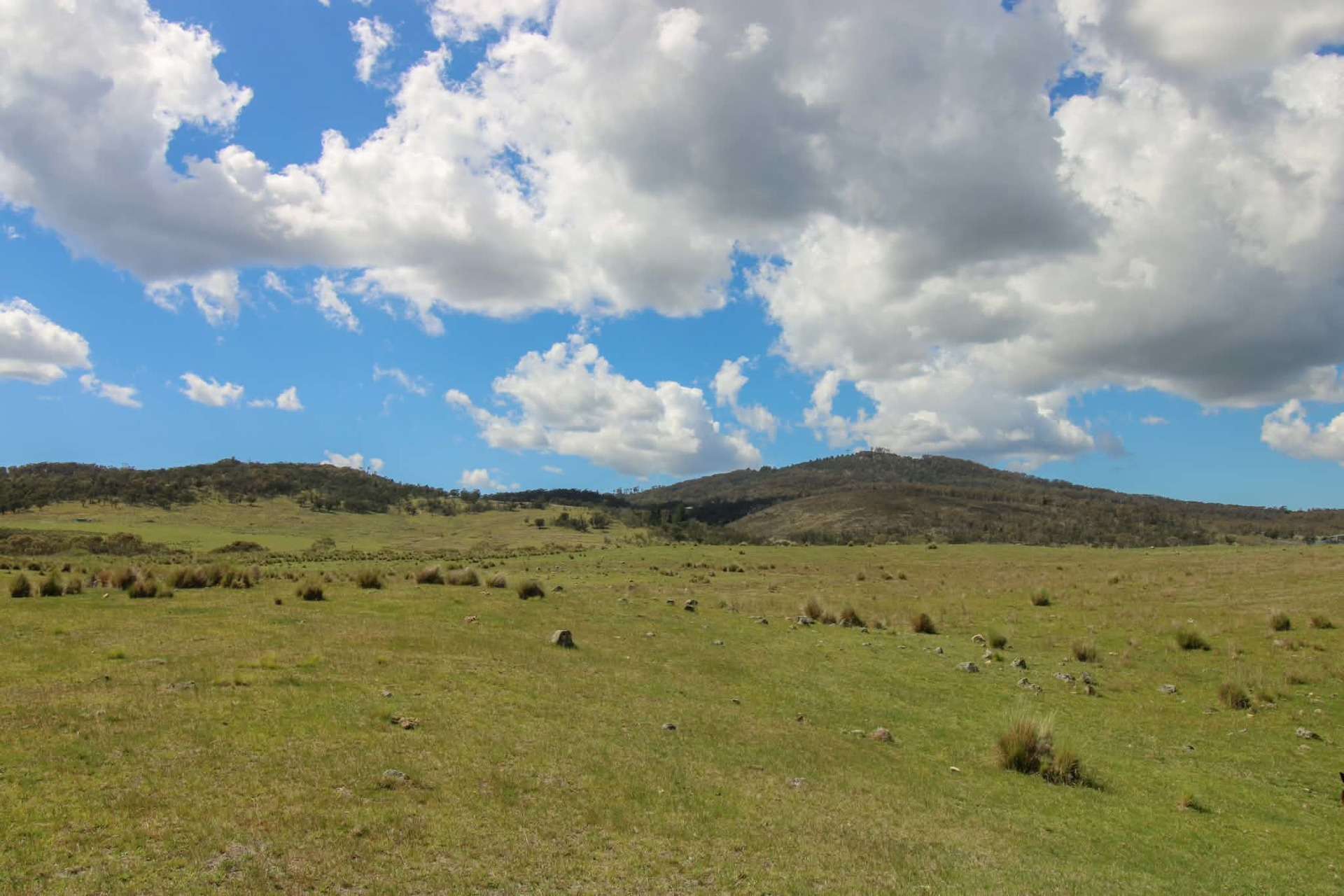 1157 Jerrabattgulla Road, Jerrabattgulla For Sale by Farmbuy.com - image 28