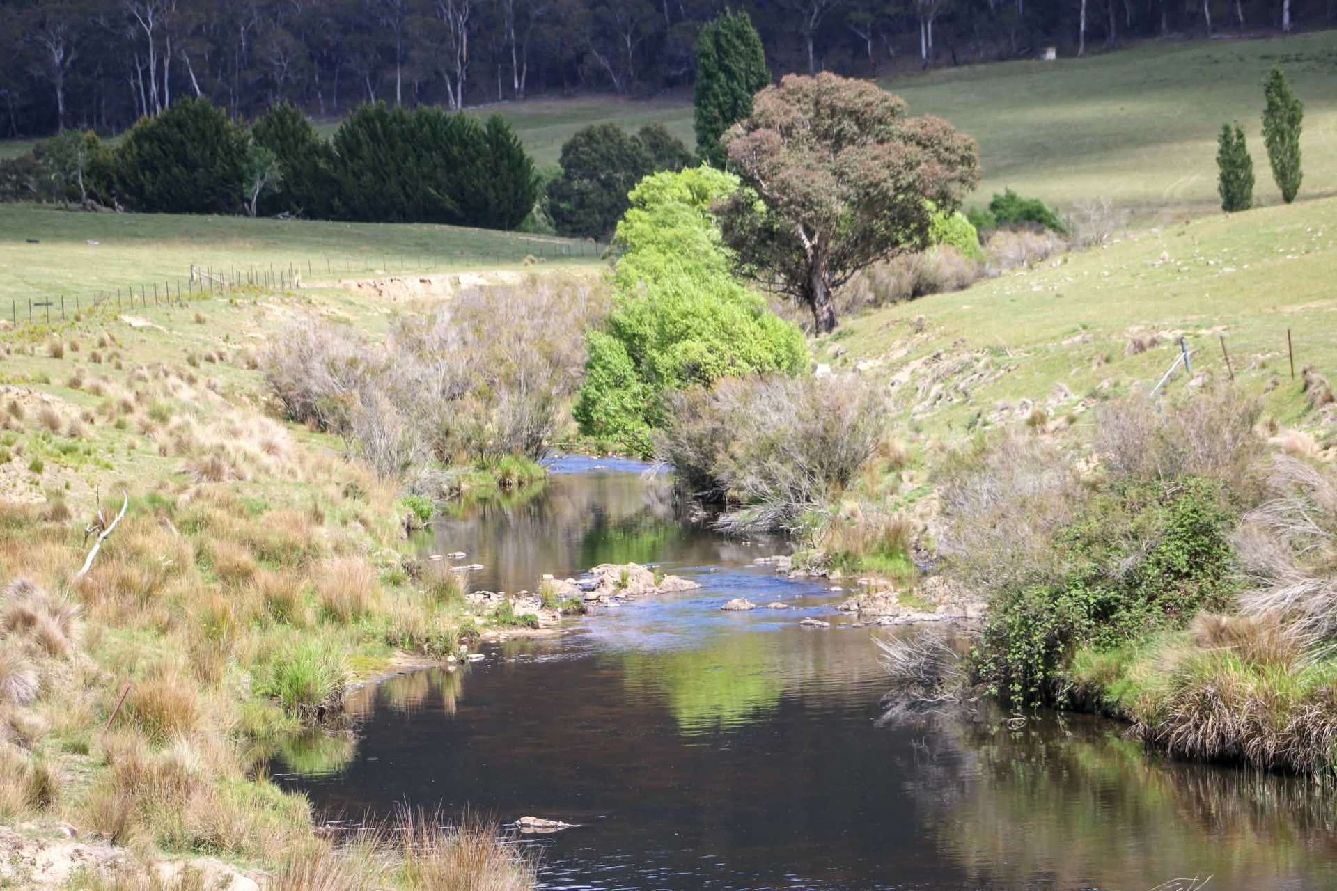1157 Jerrabattgulla Road, Jerrabattgulla For Sale by Farmbuy.com - image 1