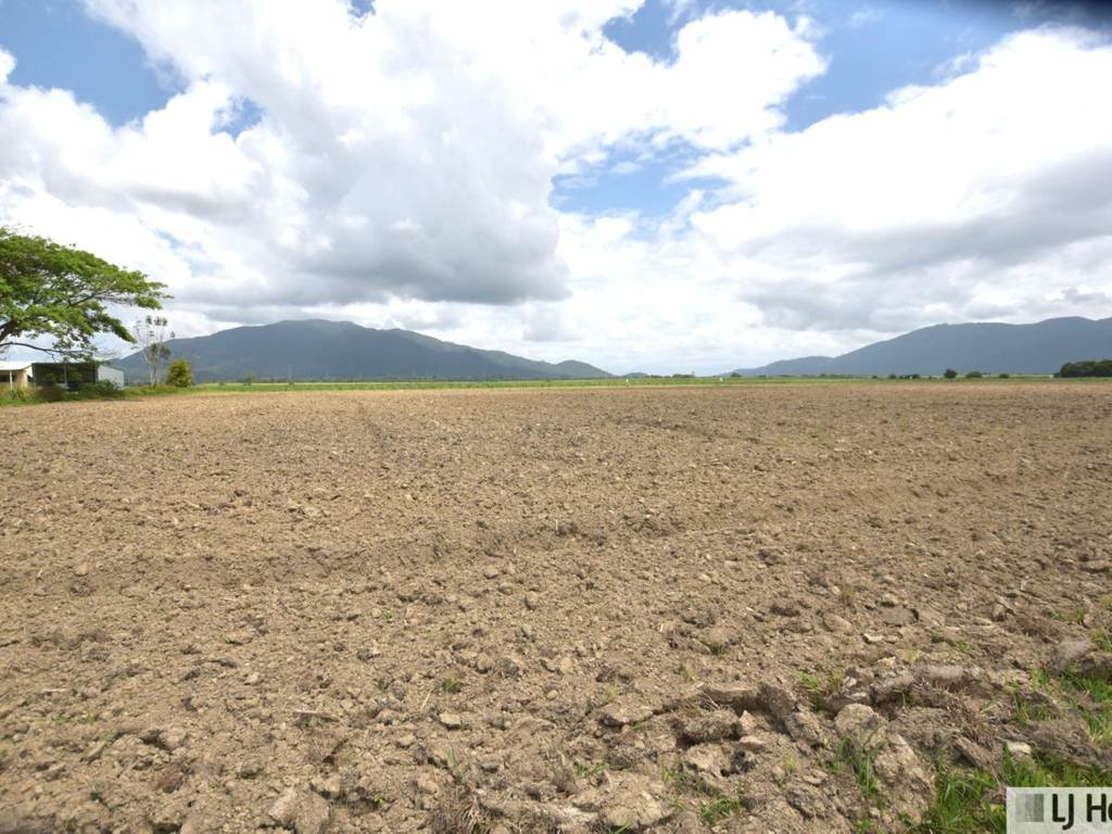 Lot 165 East Feluga Road, East Feluga QLD 4854
