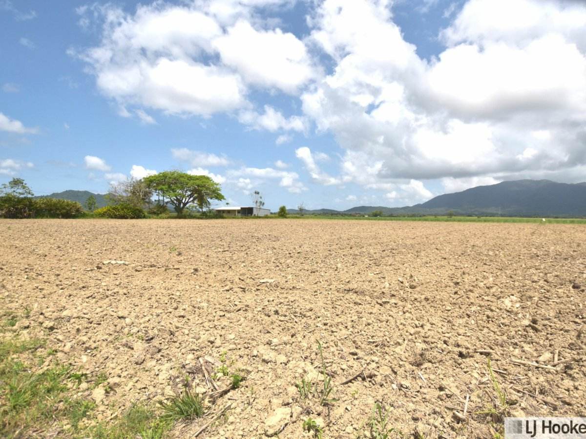 Lot 165 East Feluga Road, East Feluga For Sale by Farmbuy.com - image 3