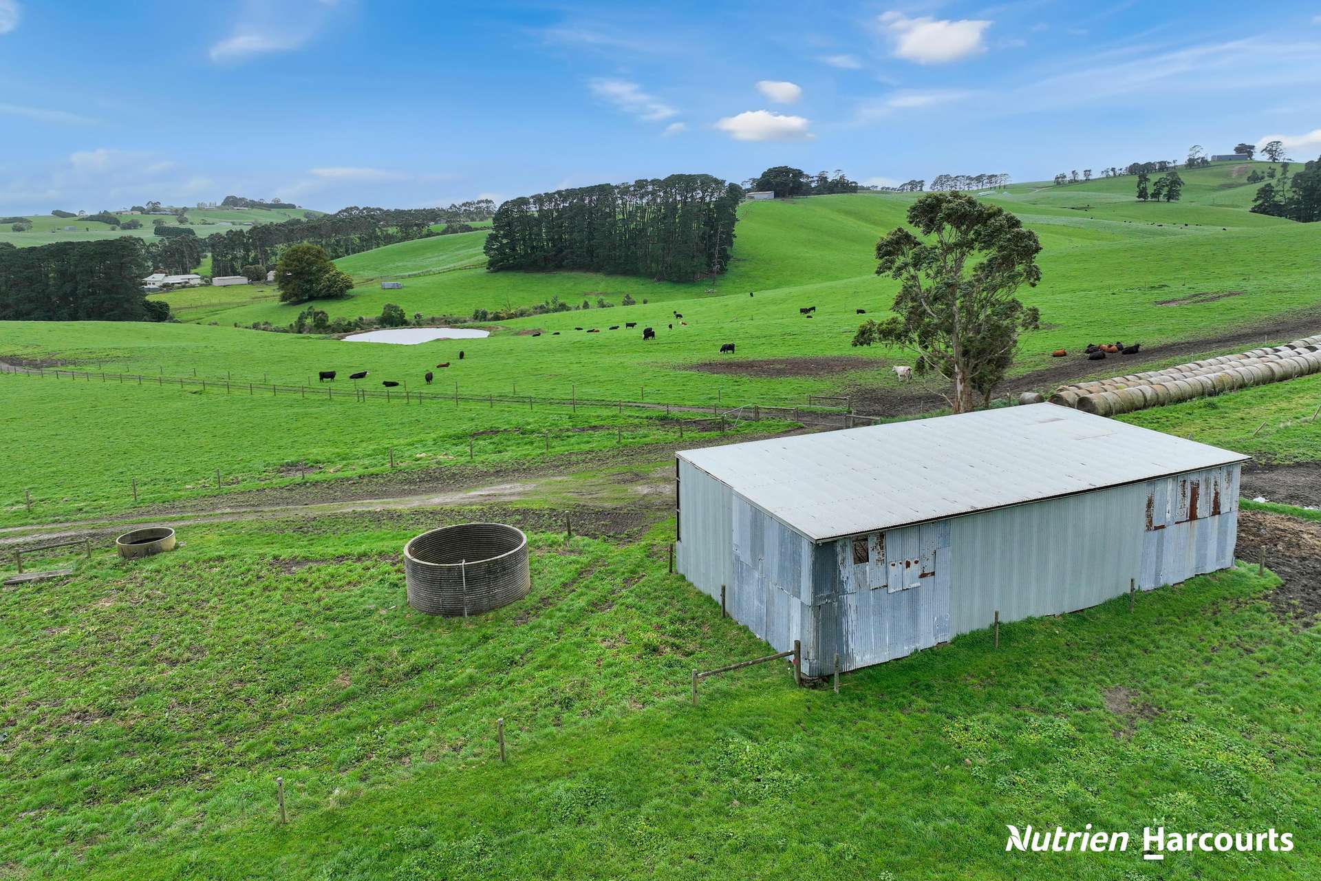 250 Houlahans Lane, Poowong For Sale by Farmbuy.com - image 5