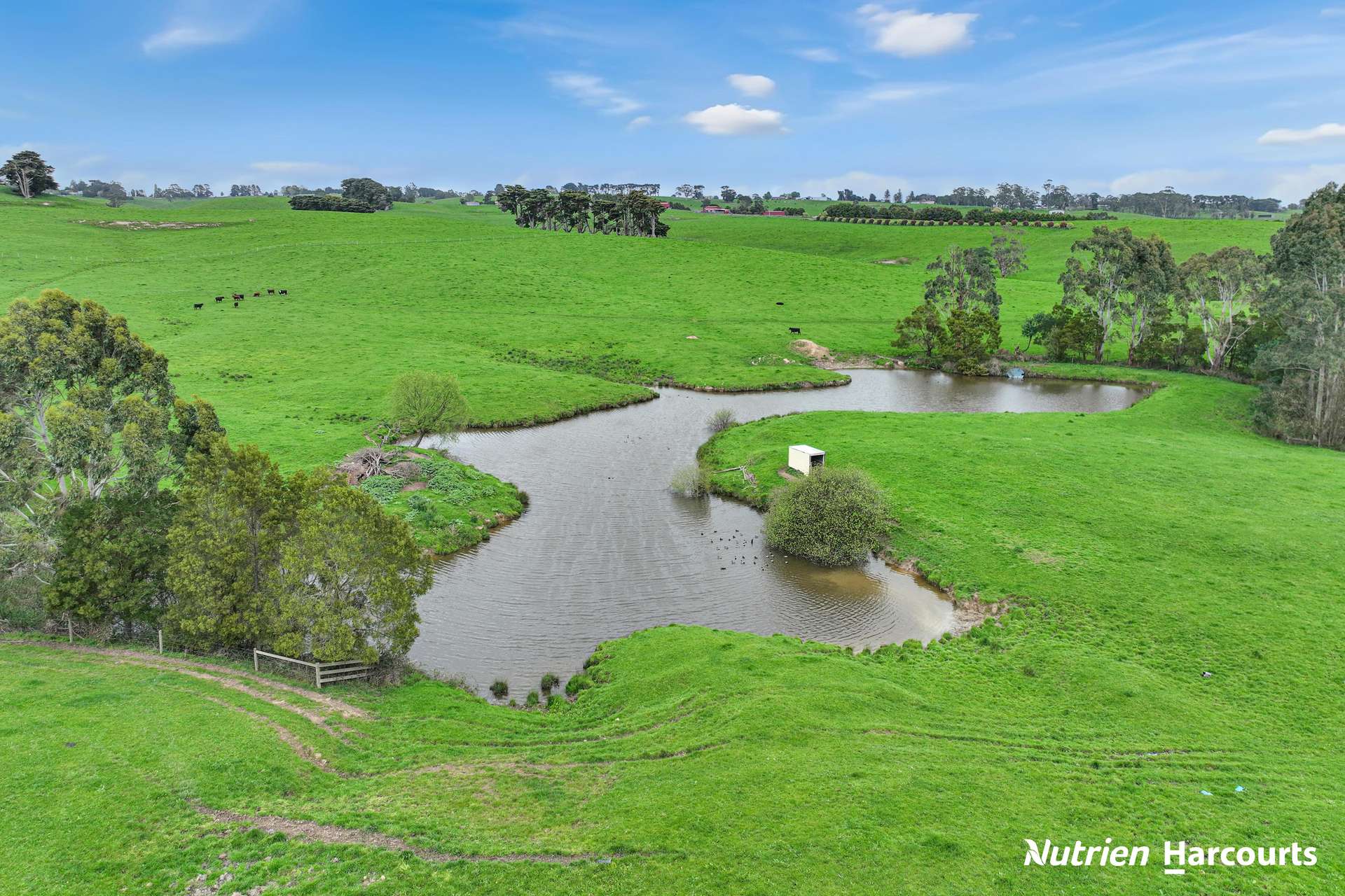 250 Houlahans Lane, Poowong For Sale by Farmbuy.com - image 10