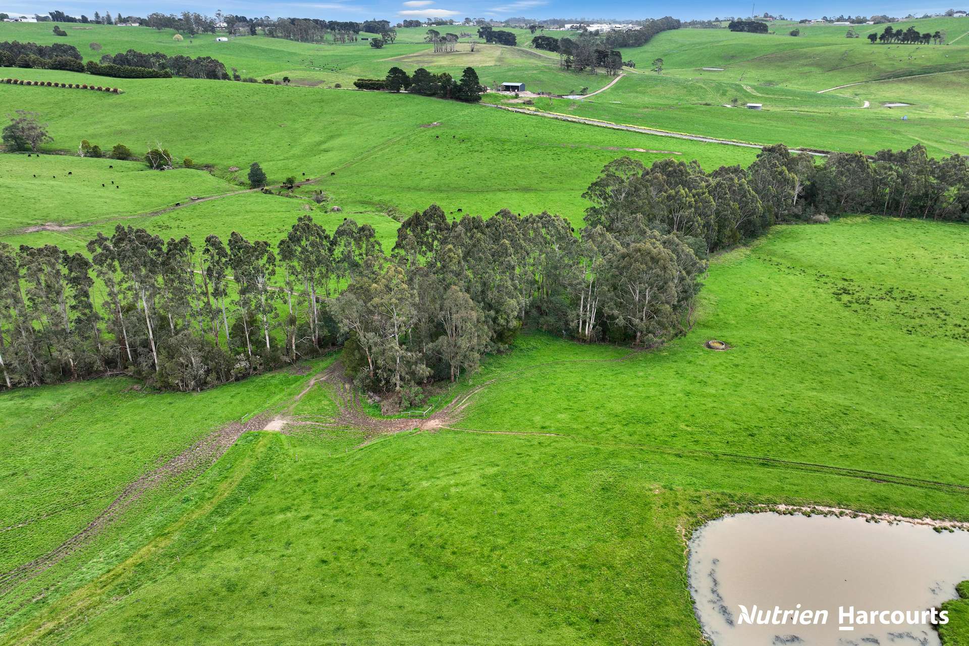 250 Houlahans Lane, Poowong For Sale by Farmbuy.com - image 29
