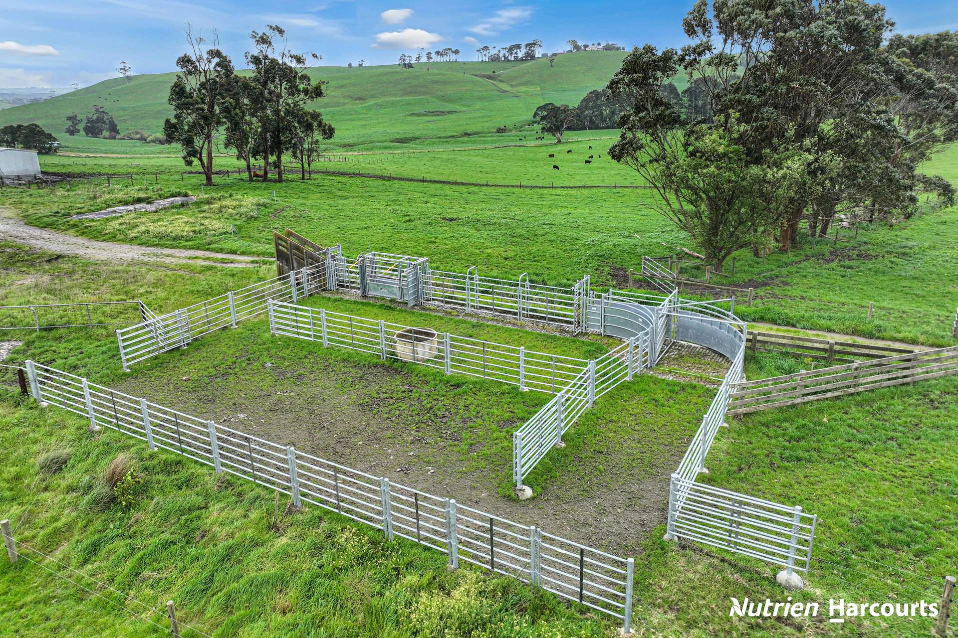 250 Houlahans Lane, Poowong For Sale by Farmbuy.com - image 6