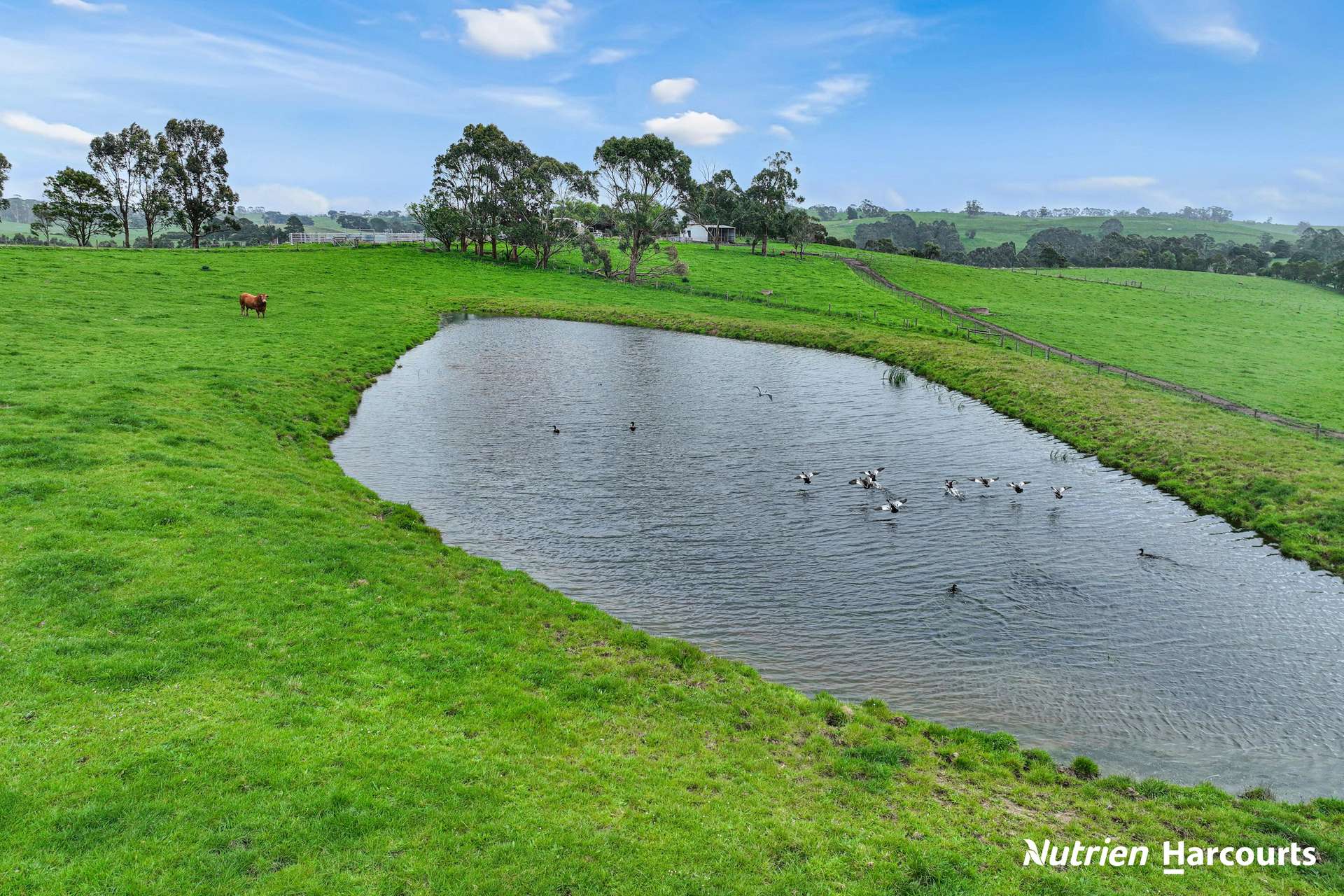 250 Houlahans Lane, Poowong For Sale by Farmbuy.com - image 24