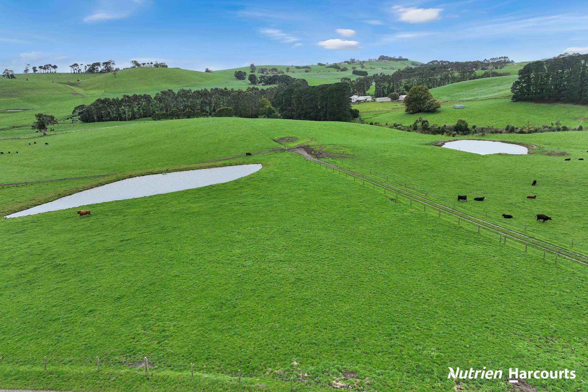 250 Houlahans Lane, Poowong For Sale by Farmbuy.com - image 25
