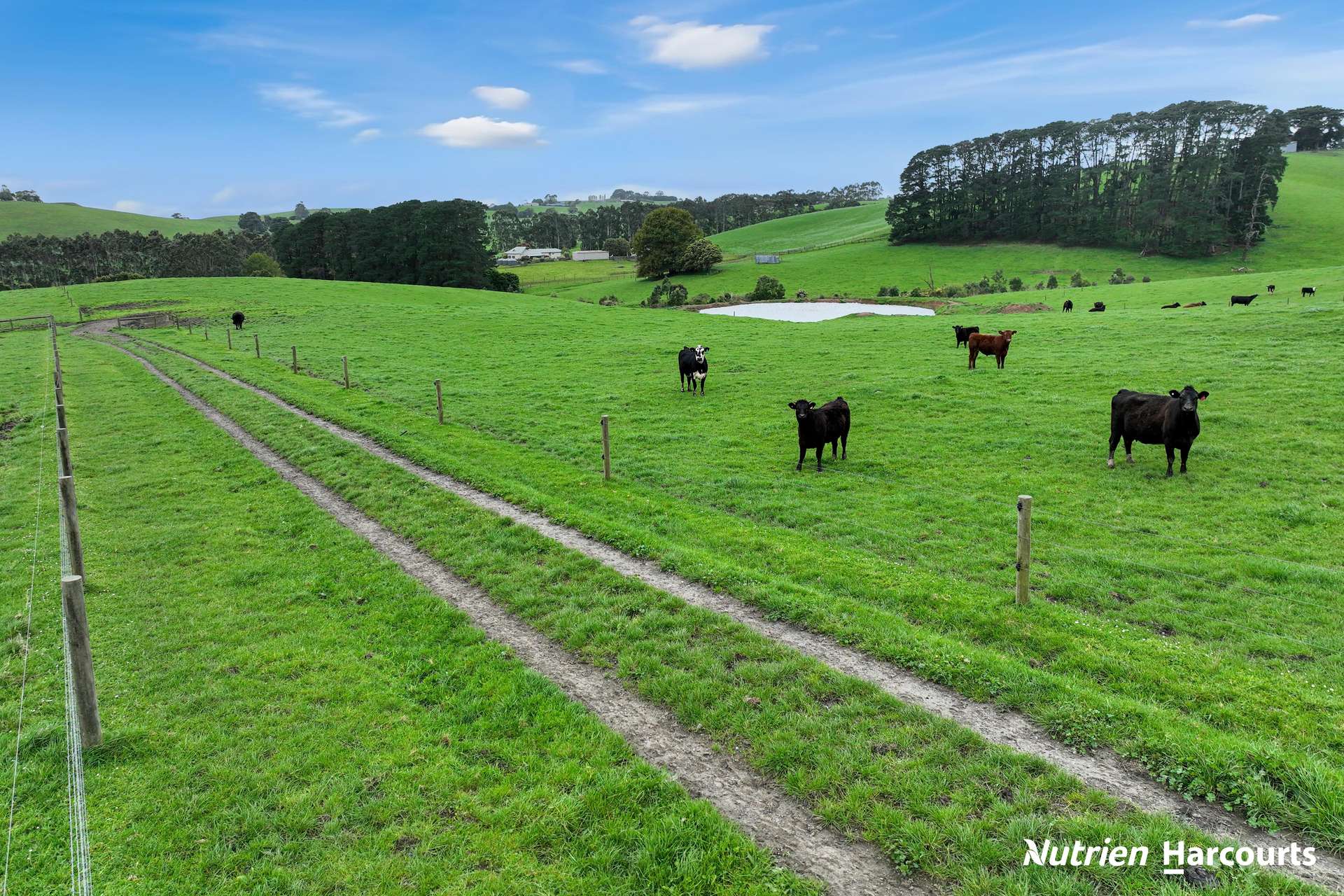 250 Houlahans Lane, Poowong For Sale by Farmbuy.com - image 4