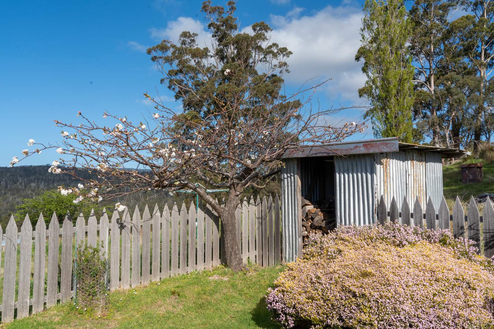 391 Nubeena Road, Koonya For Sale by Farmbuy.com - image 30