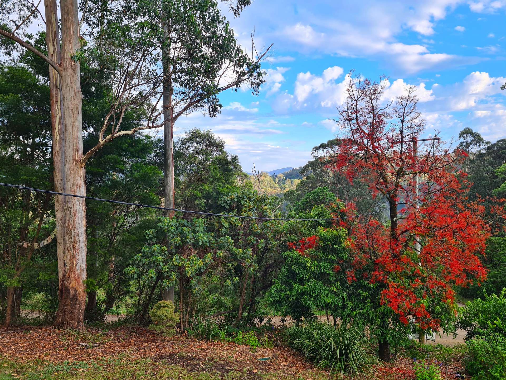 83/265 MARTIN ROAD, Larnook For Sale by Farmbuy.com - image 25