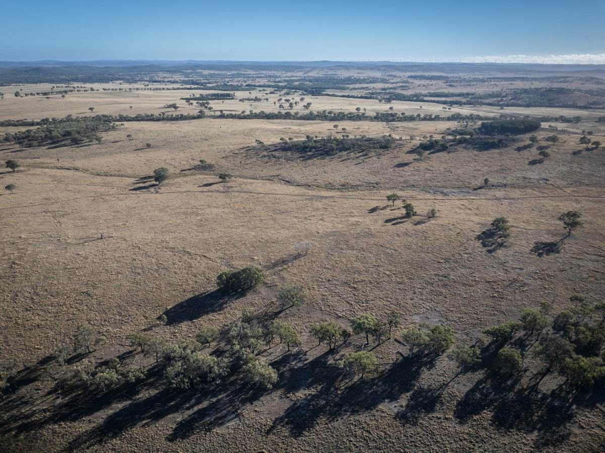 2403 Stanthorpe Inglewood Road, Stanthorpe For Sale by Farmbuy.com - image 24