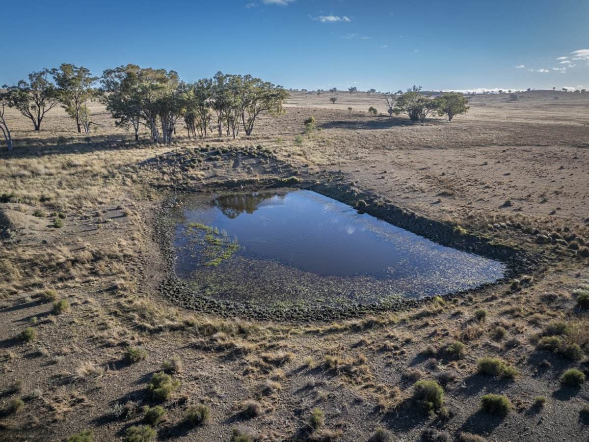 2403 Stanthorpe Inglewood Road, Stanthorpe For Sale by Farmbuy.com - image 8