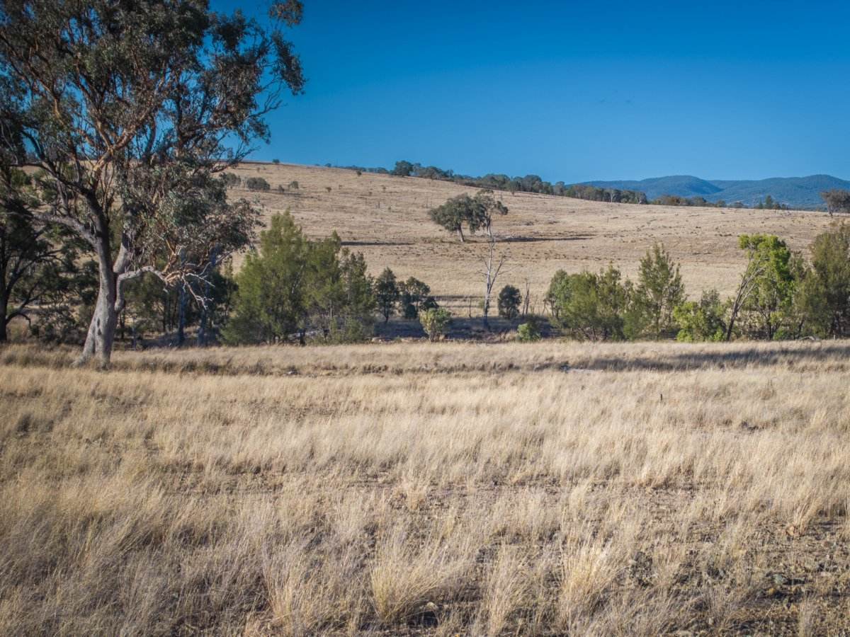 2403 Stanthorpe Inglewood Road, Stanthorpe For Sale by Farmbuy.com - image 6