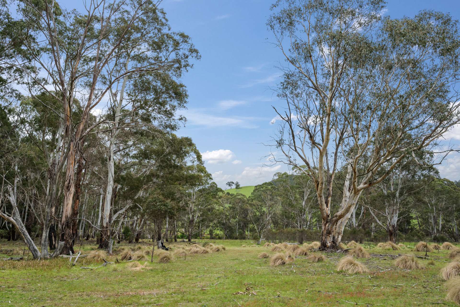 1868 Cooma Road, Bendoura For Sale by Farmbuy.com - image 29