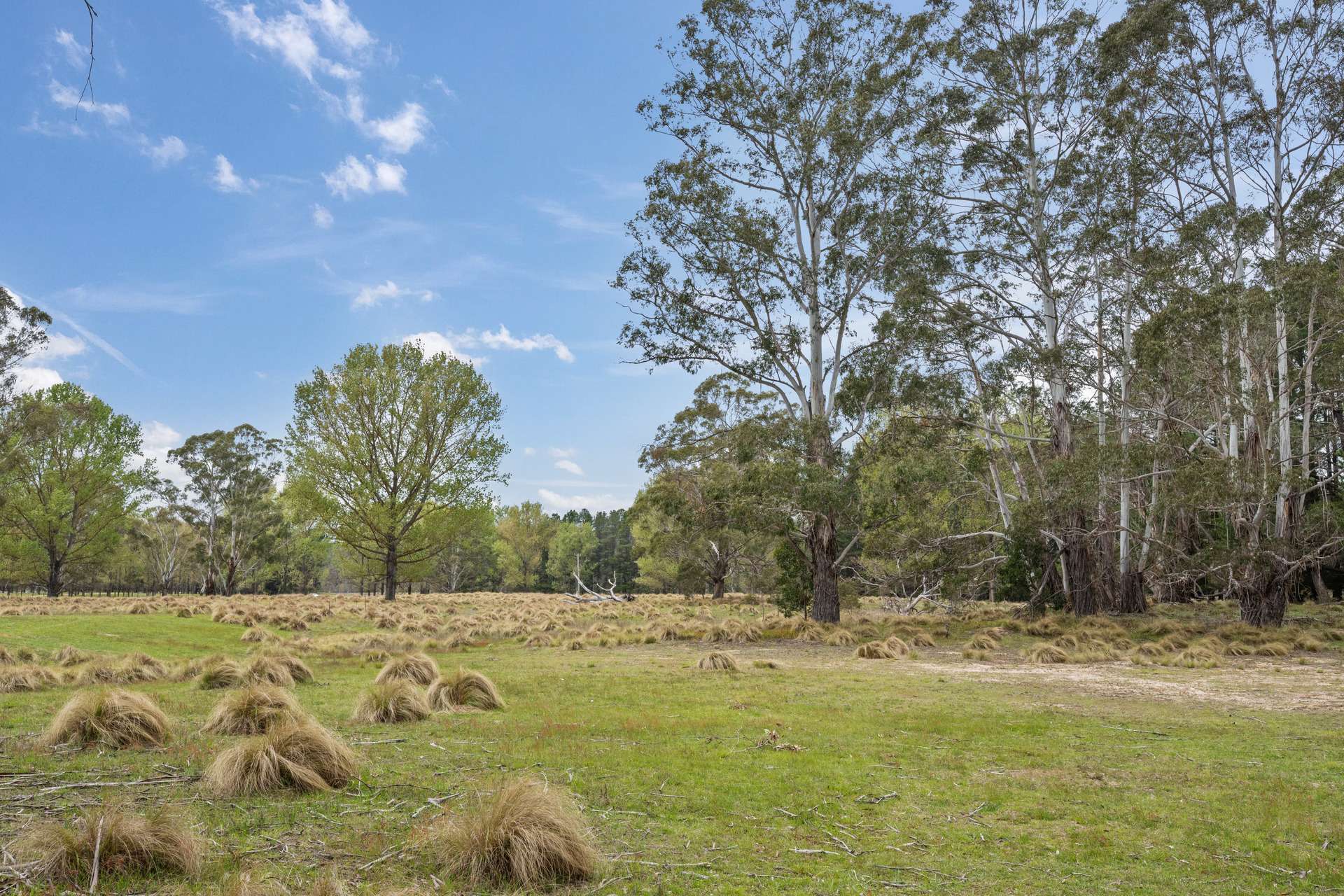 1868 Cooma Road, Bendoura For Sale by Farmbuy.com - image 16