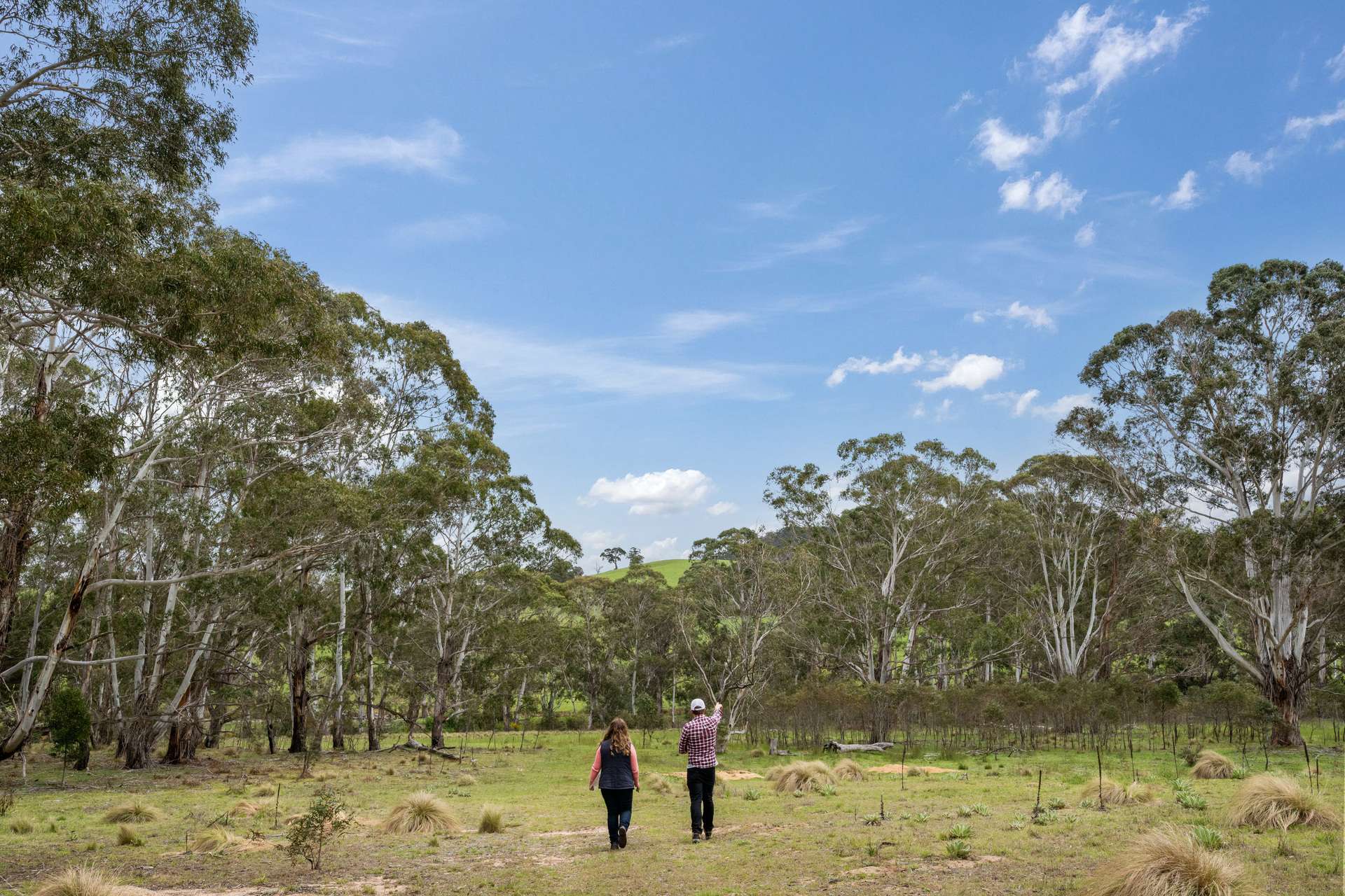 1868 Cooma Road, Bendoura For Sale by Farmbuy.com - image 17