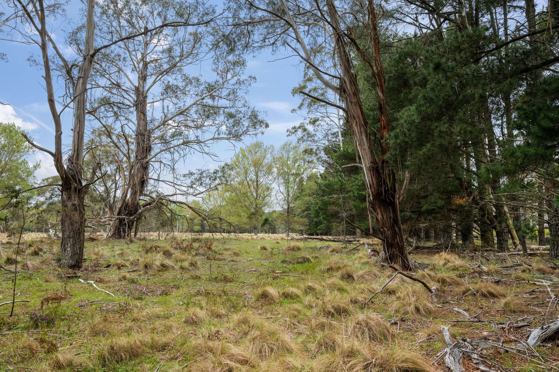 1868 Cooma Road, Bendoura For Sale by Farmbuy.com - image 30