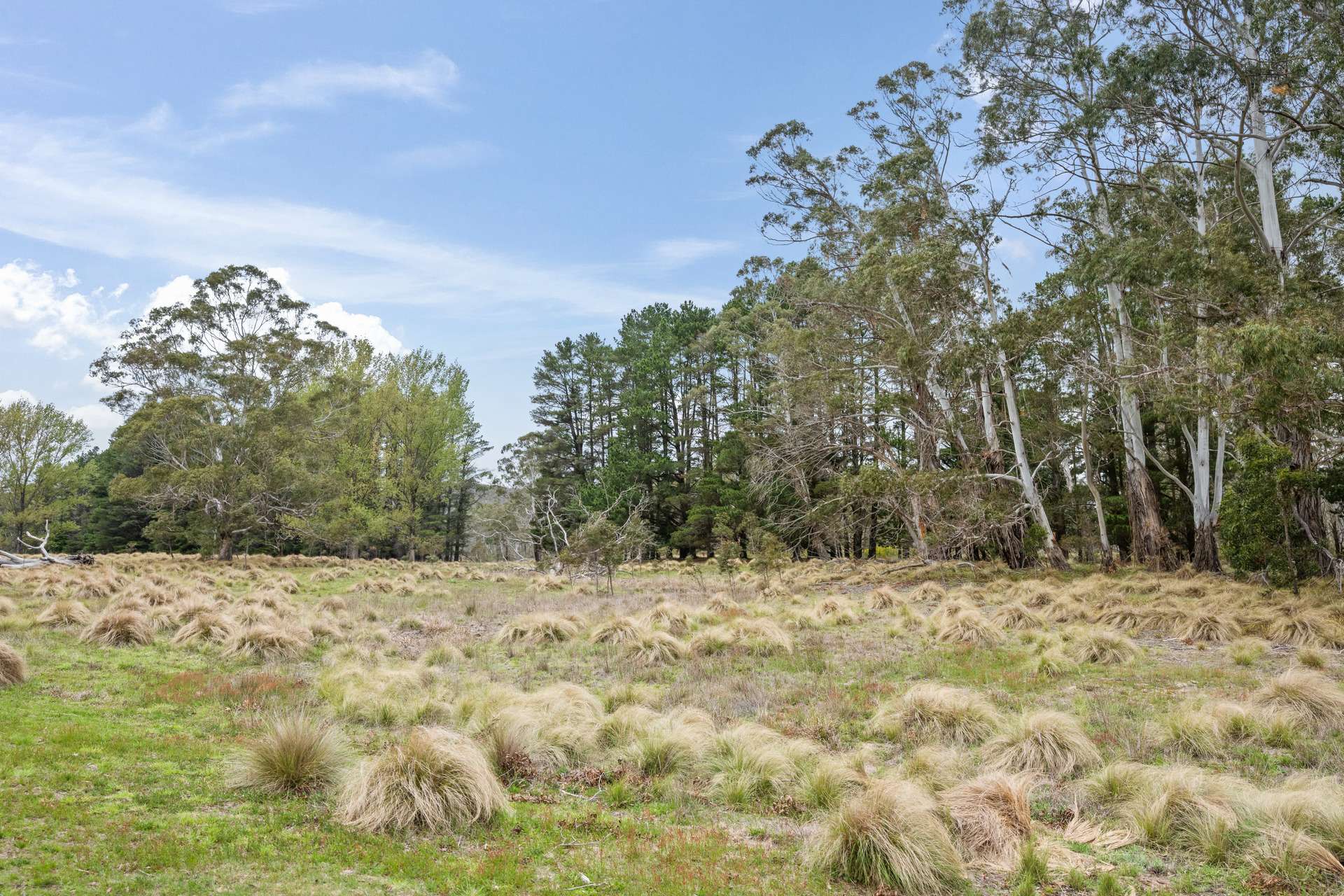 1868 Cooma Road, Bendoura For Sale by Farmbuy.com - image 32