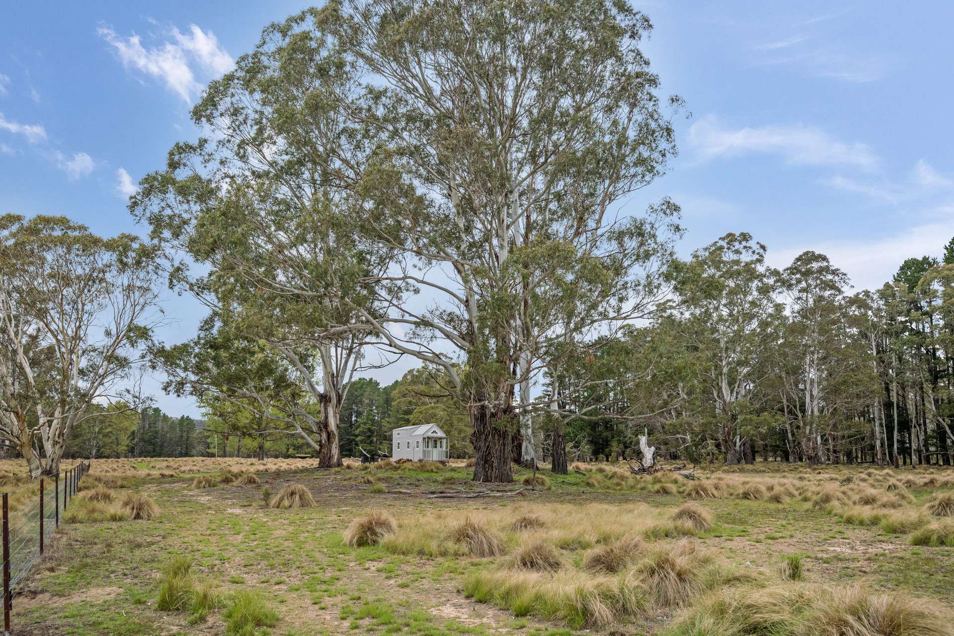 1868 Cooma Road, Bendoura For Sale by Farmbuy.com - image 2