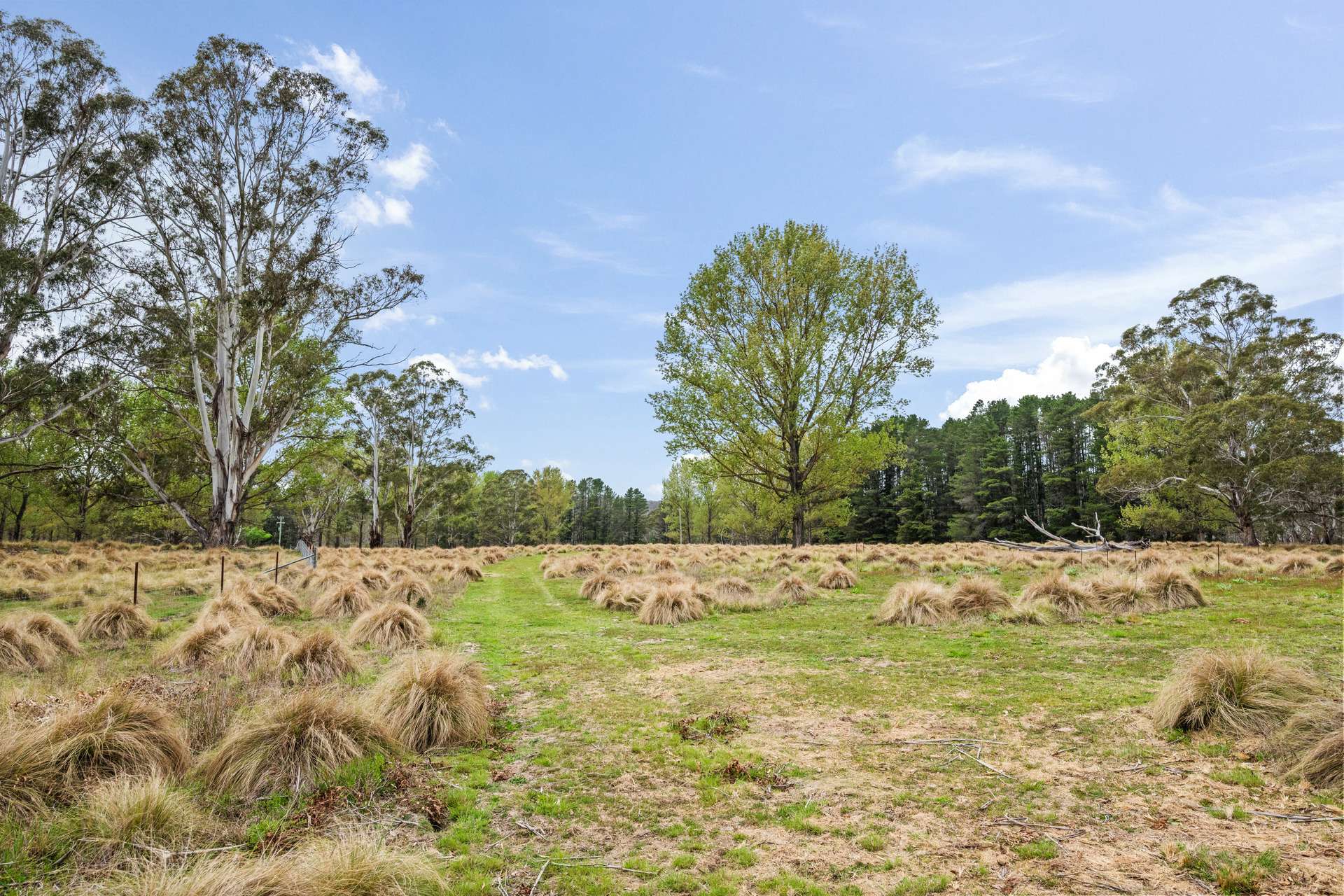1868 Cooma Road, Bendoura For Sale by Farmbuy.com - image 27