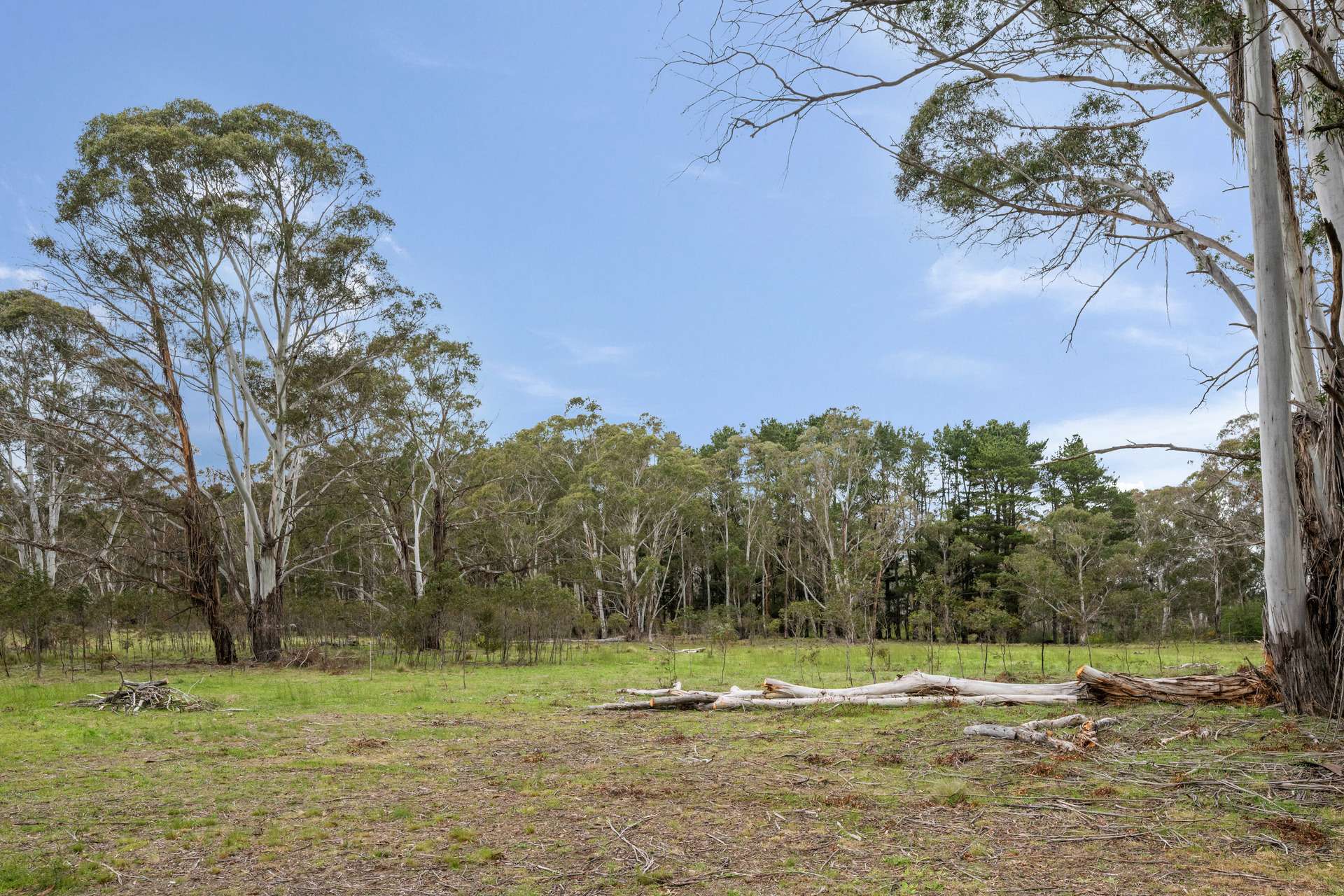 1868 Cooma Road, Bendoura For Sale by Farmbuy.com - image 31