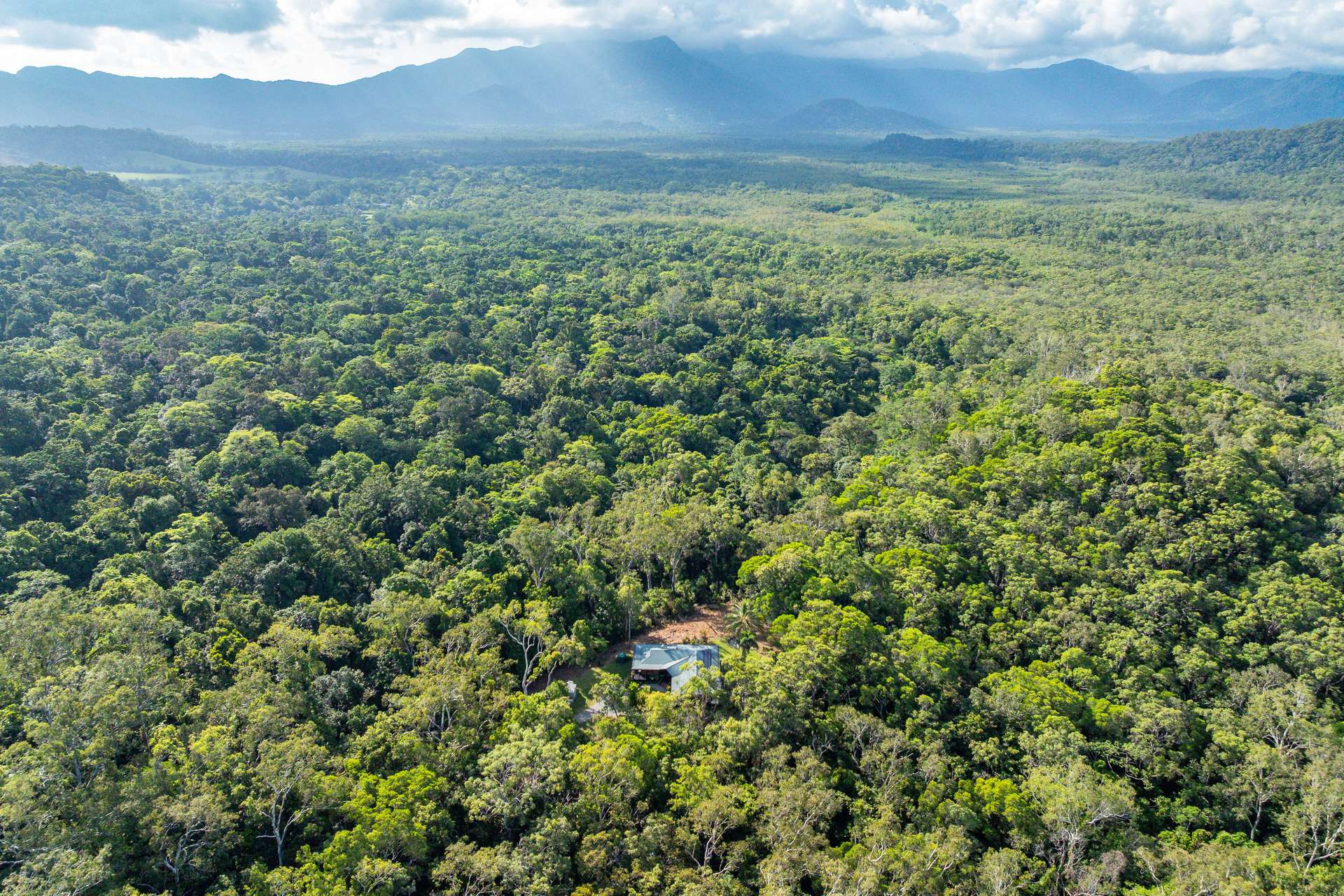 356 Buchanan Creek Road, Cow Bay, Daintree For Sale by Farmbuy.com - image 25