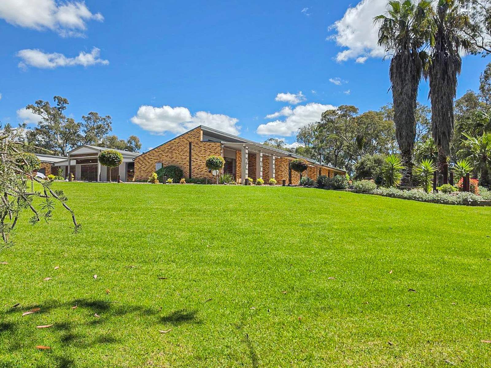 Young For Sale by Farmbuy.com - image 4