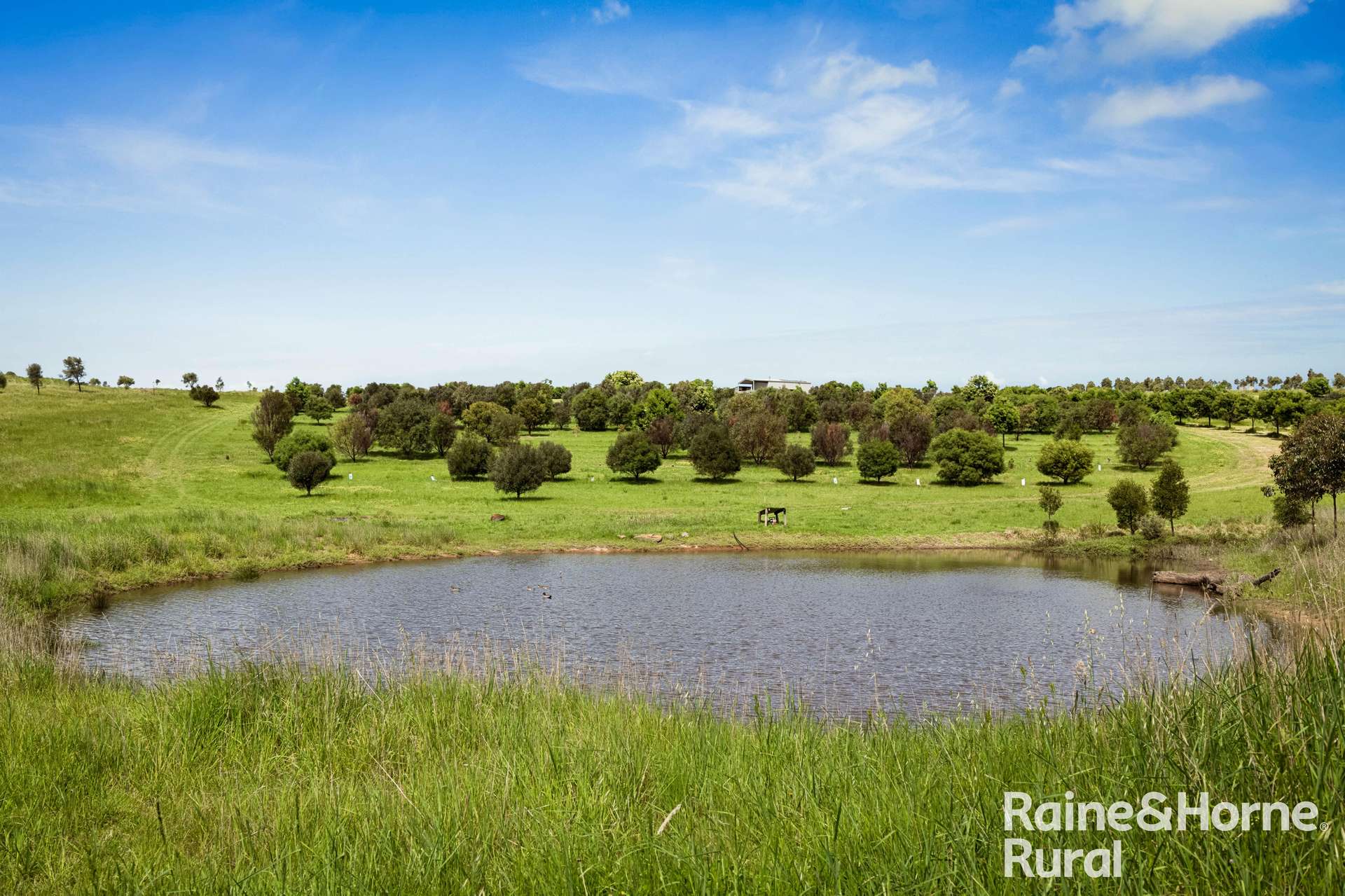 120 Burgar Road, Middleton For Sale by Farmbuy.com - image 27