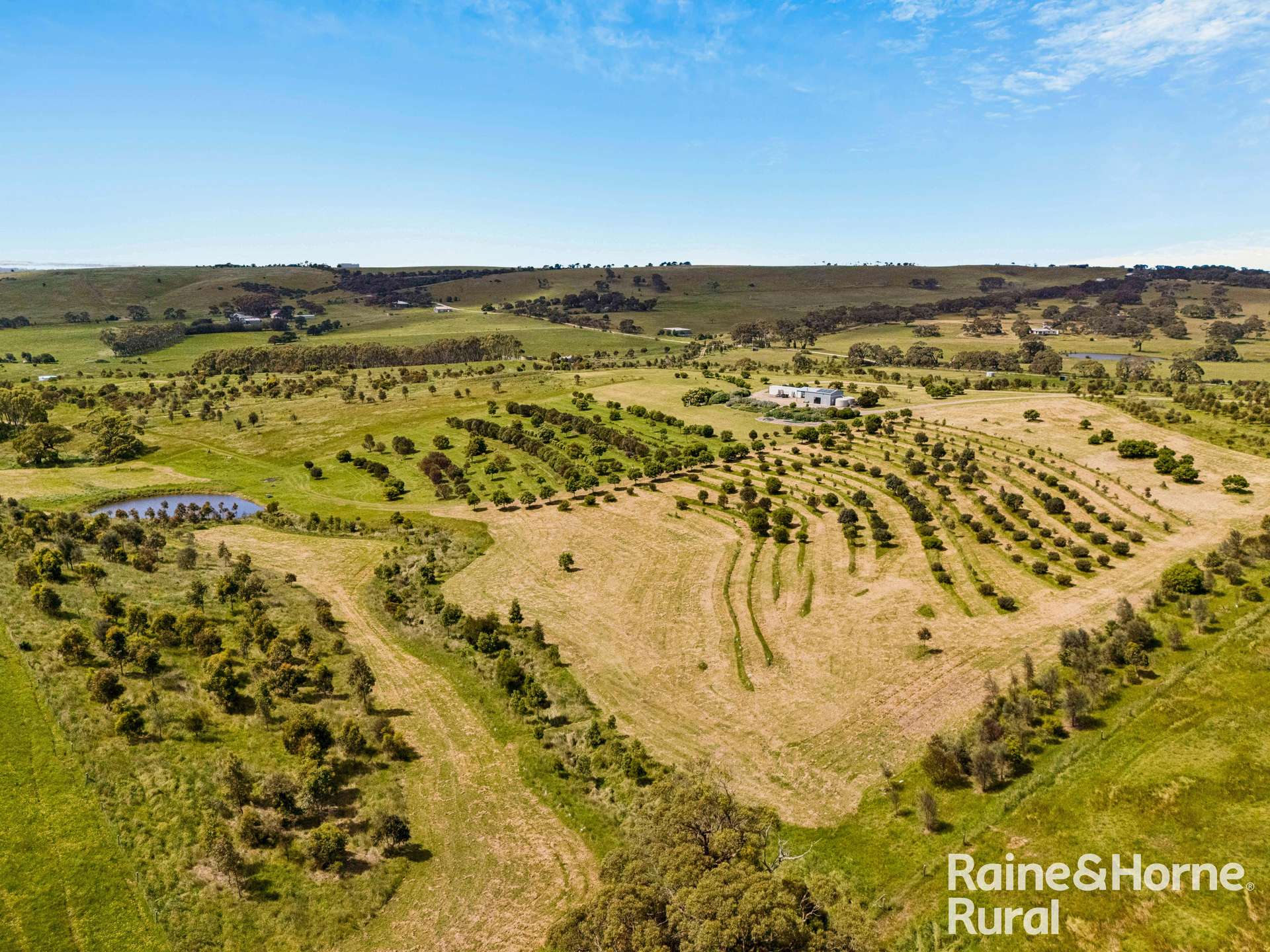 120 Burgar Road, Middleton For Sale by Farmbuy.com - image 20