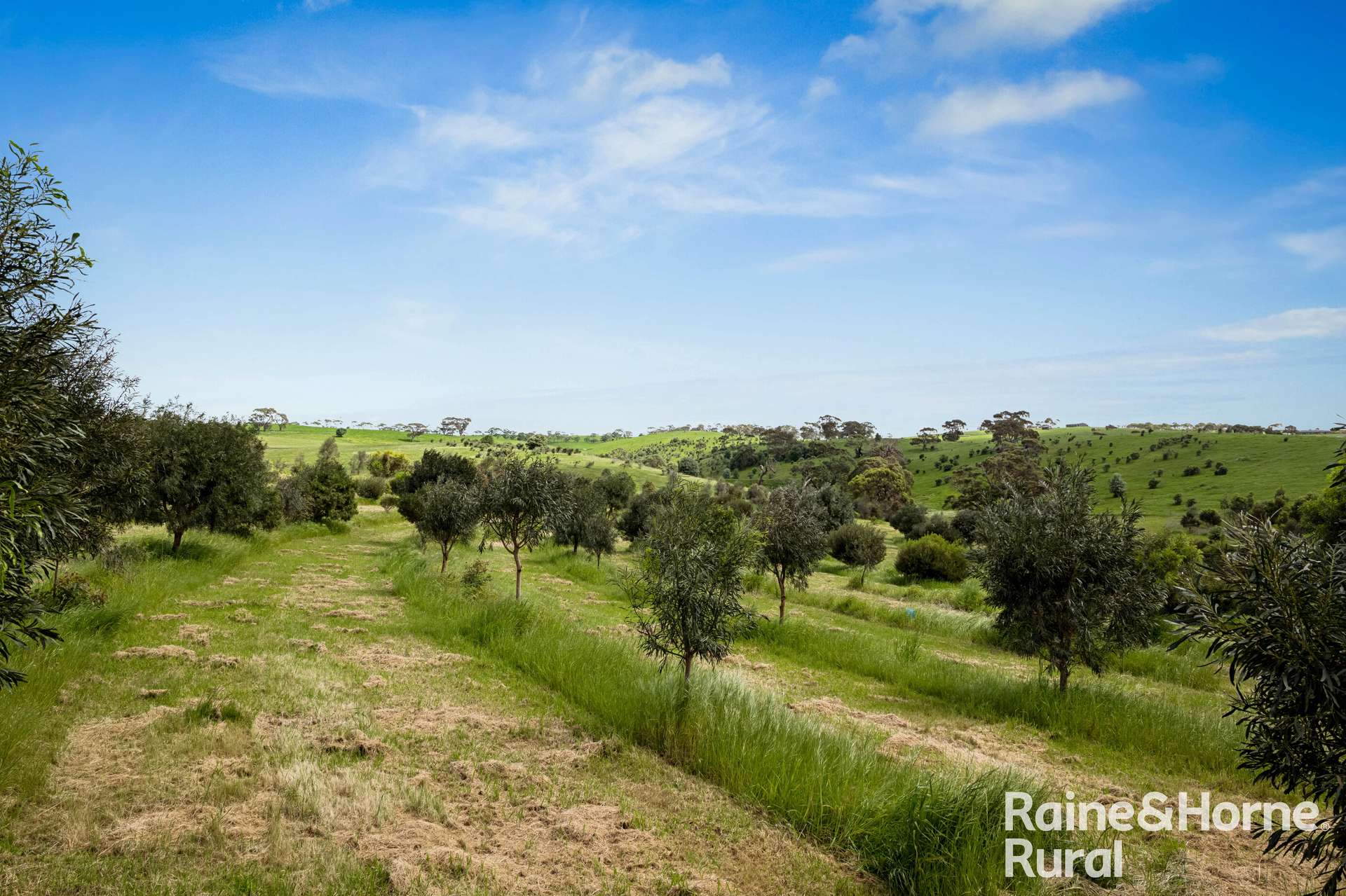 120 Burgar Road, Middleton For Sale by Farmbuy.com - image 26