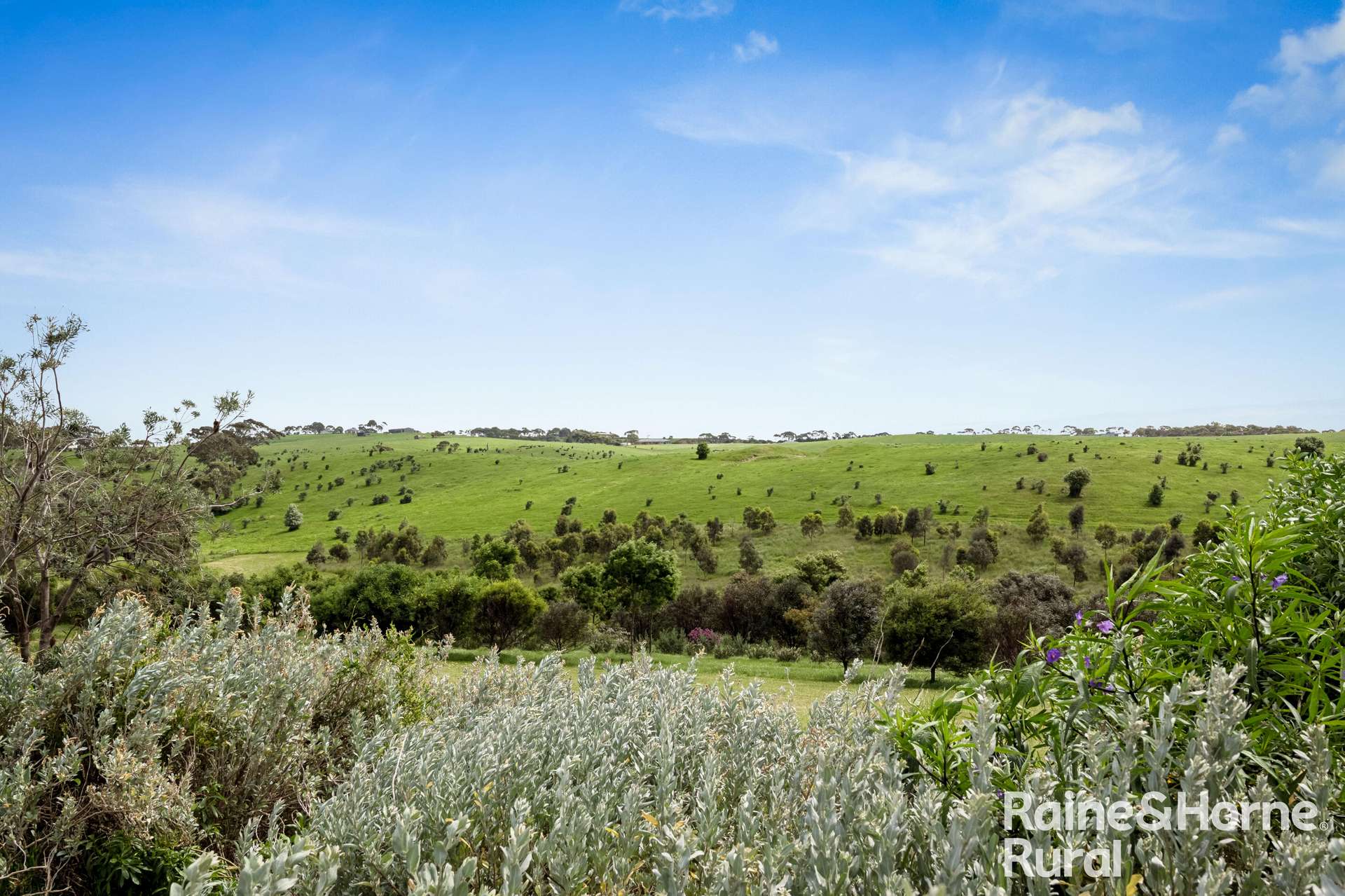 120 Burgar Road, Middleton For Sale by Farmbuy.com - image 23