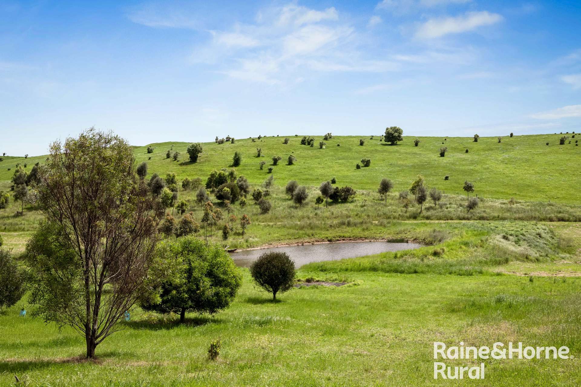 120 Burgar Road, Middleton For Sale by Farmbuy.com - image 22
