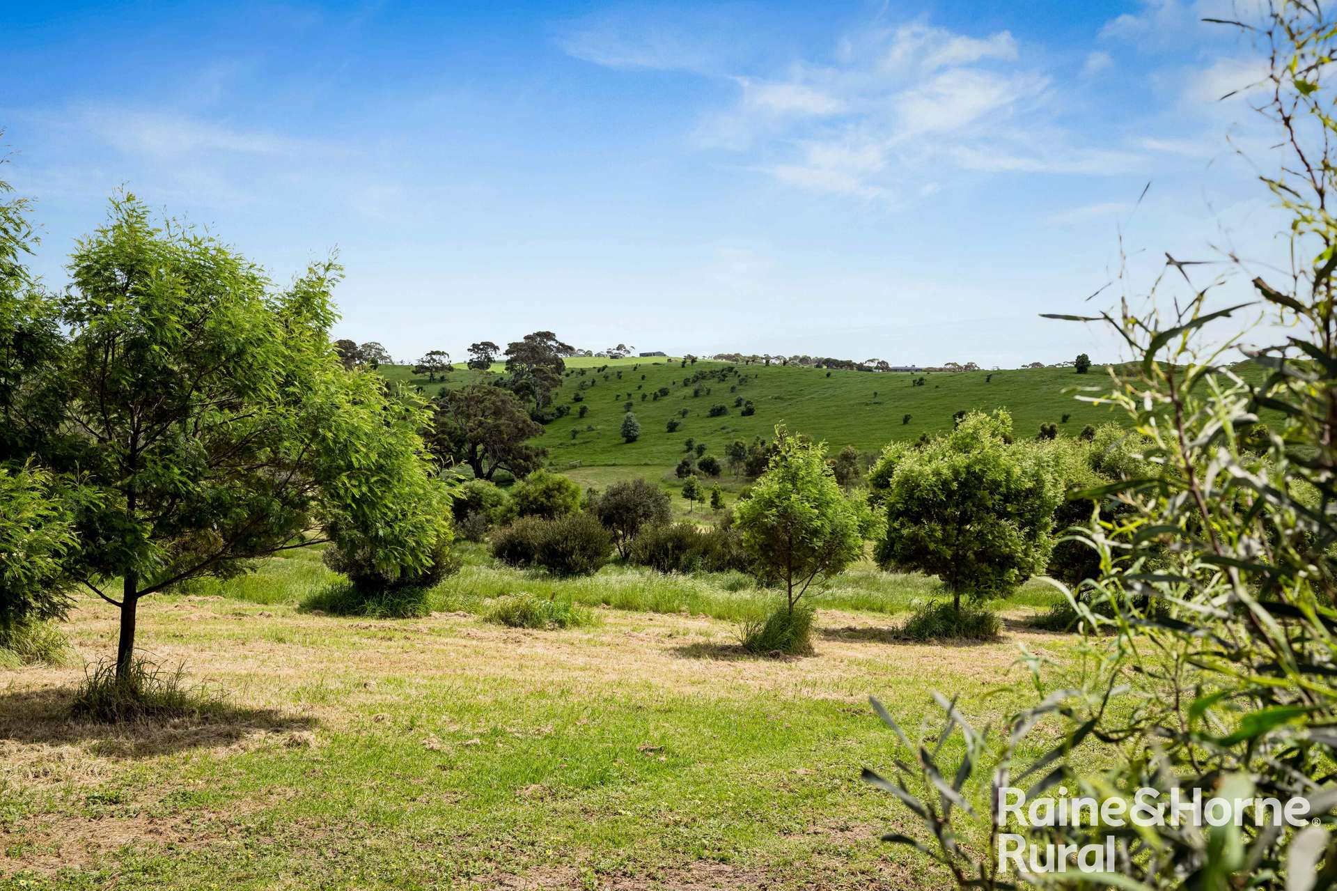 120 Burgar Road, Middleton For Sale by Farmbuy.com - image 25