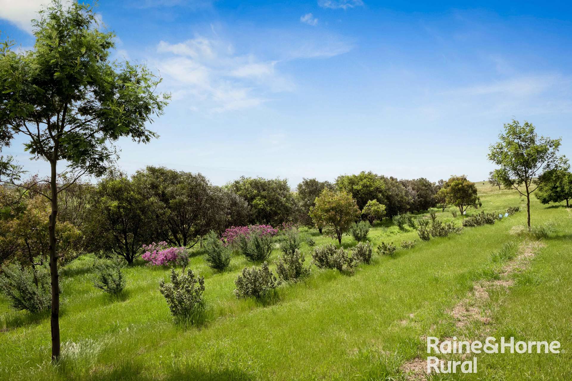 120 Burgar Road, Middleton For Sale by Farmbuy.com - image 19