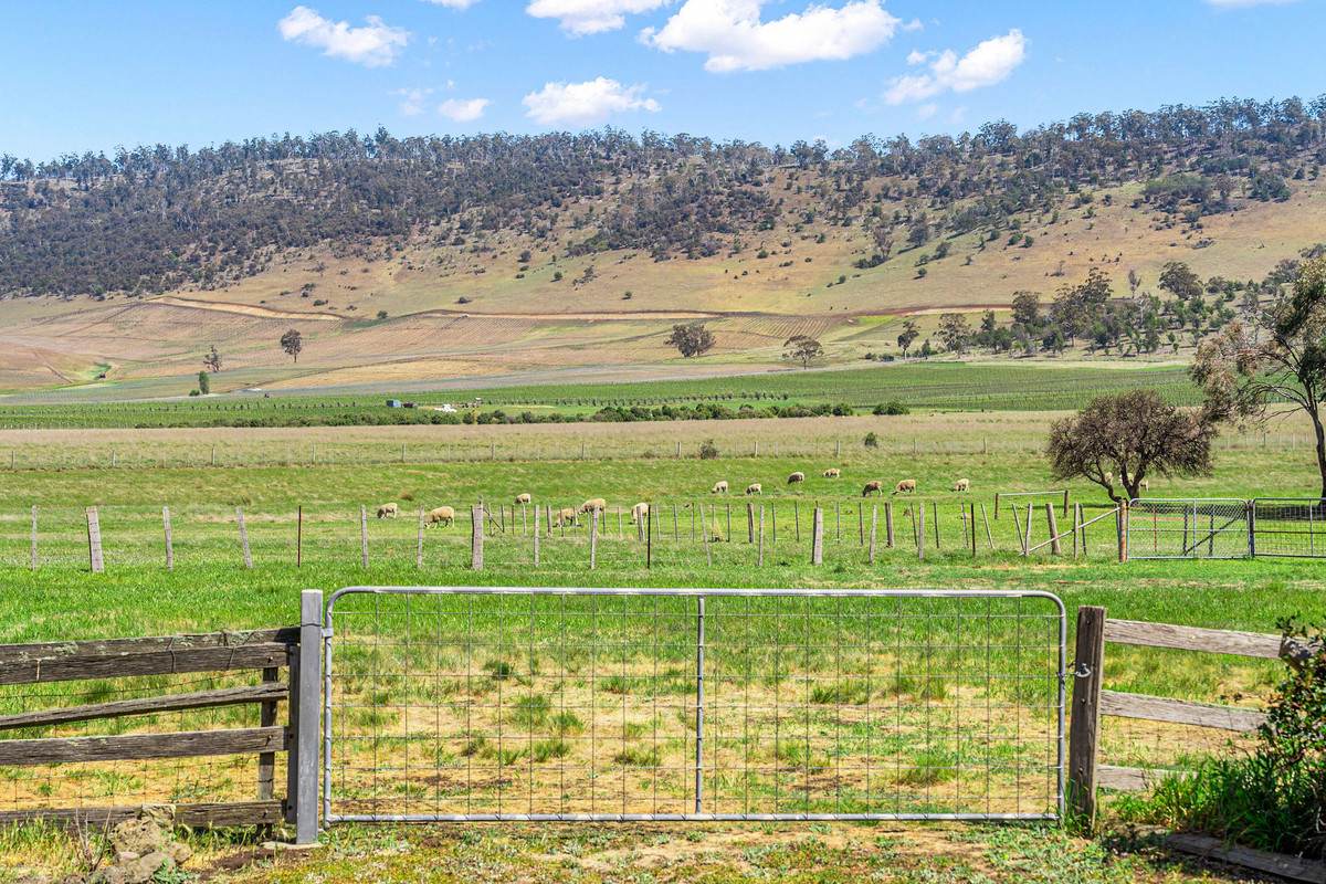 24 & 71 Enfield Lane, Campania For Sale by Farmbuy.com - image 32