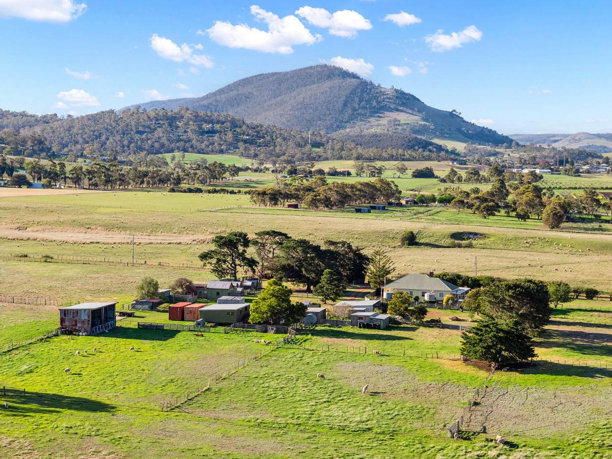 24 & 71 Enfield Lane, Campania For Sale by Farmbuy.com - image 28