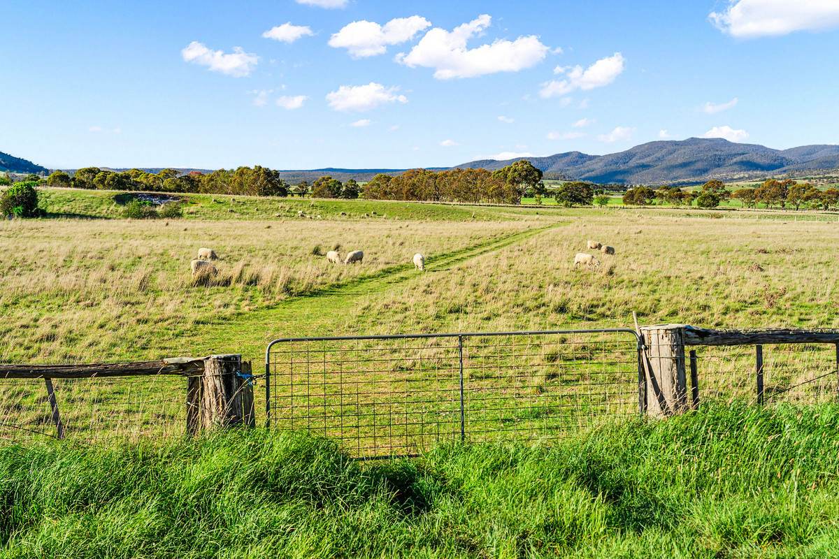 24 & 71 Enfield Lane, Campania For Sale by Farmbuy.com - image 33