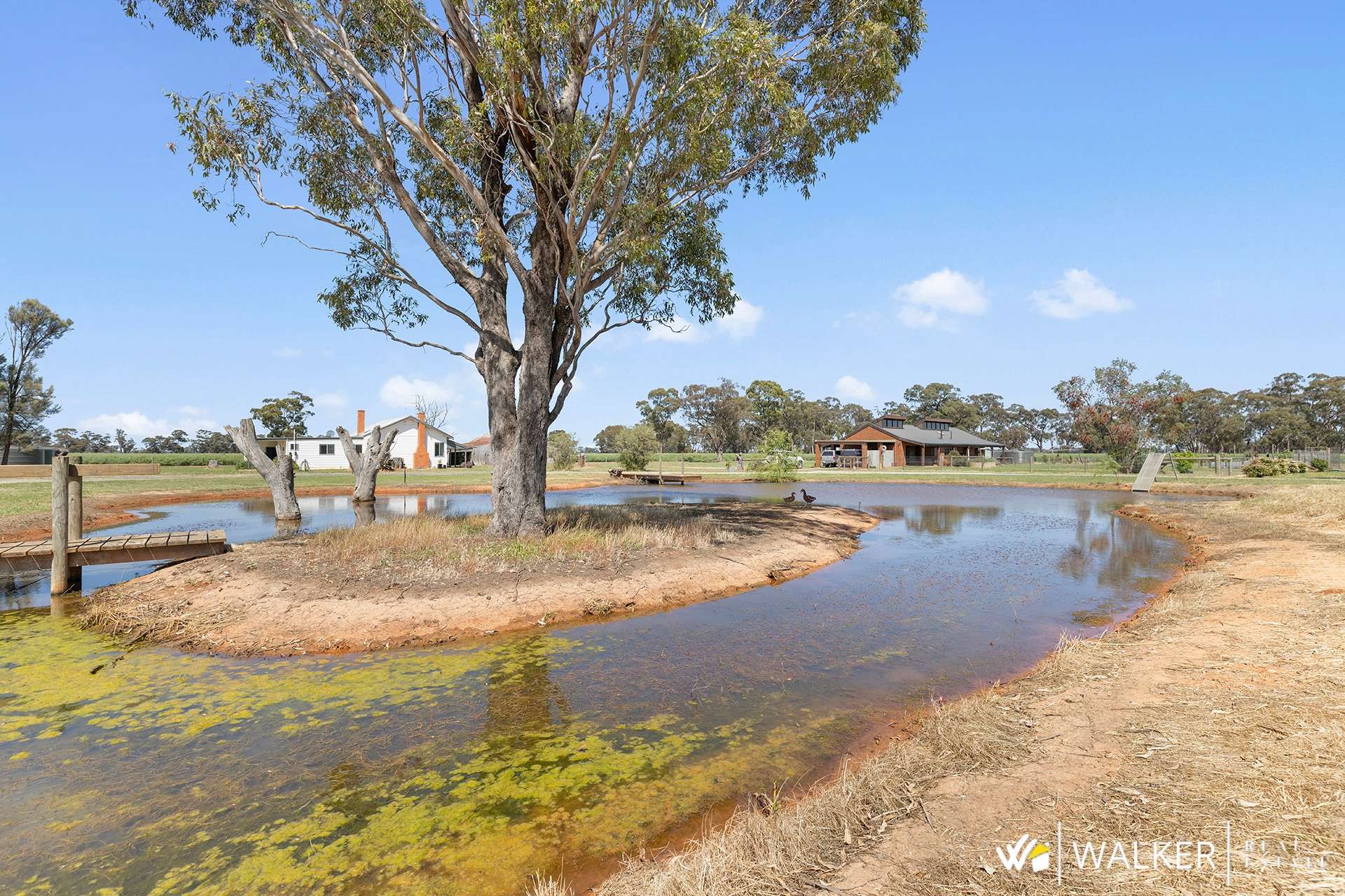 335 Andrews Road, Kyabram South For Sale by Farmbuy.com - image 28