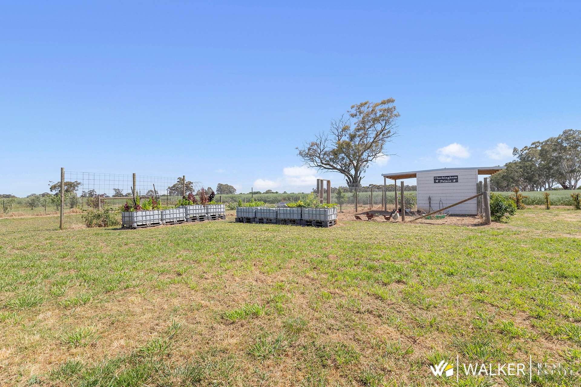 335 Andrews Road, Kyabram South For Sale by Farmbuy.com - image 19