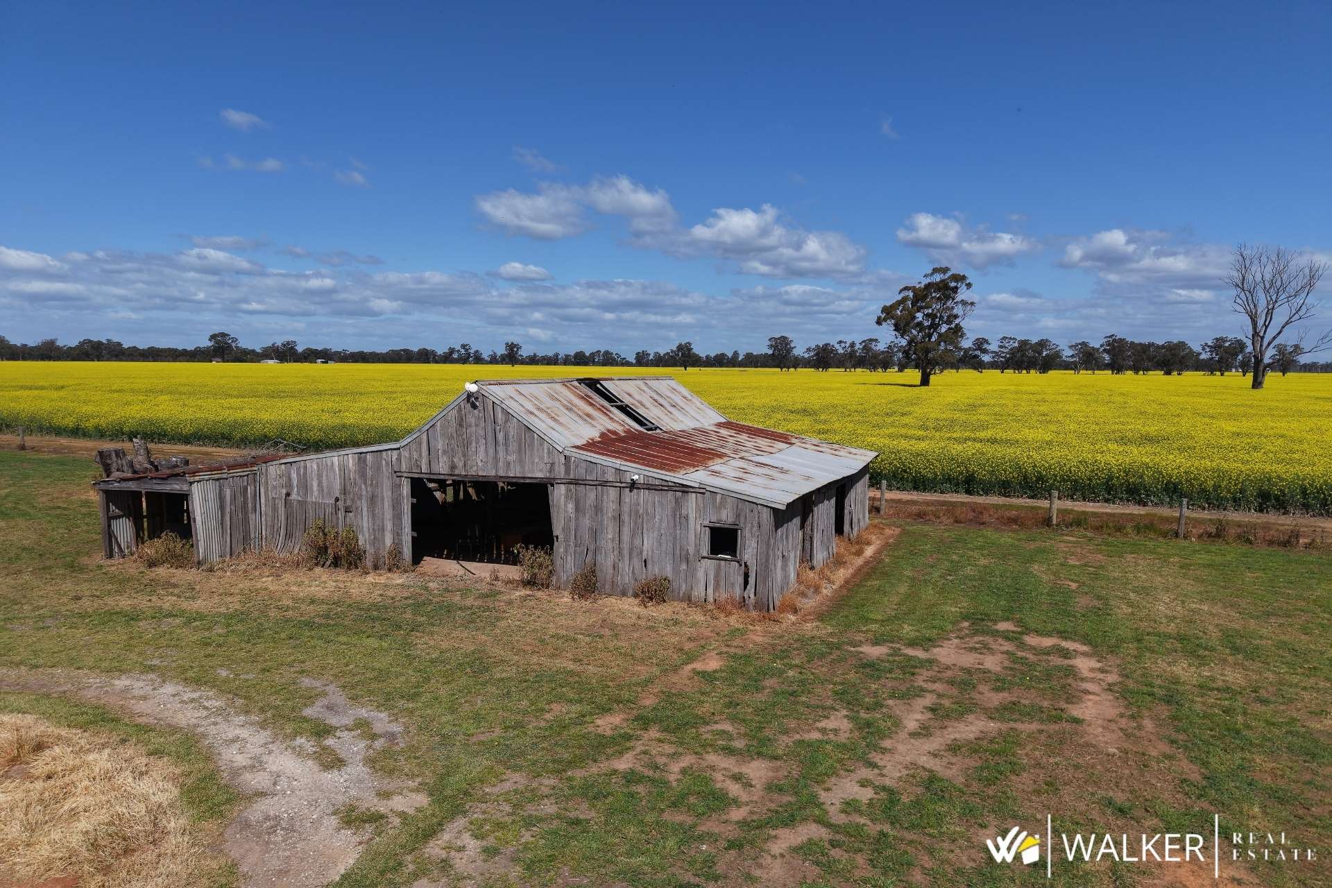 335 Andrews Road, Kyabram South For Sale by Farmbuy.com - image 6