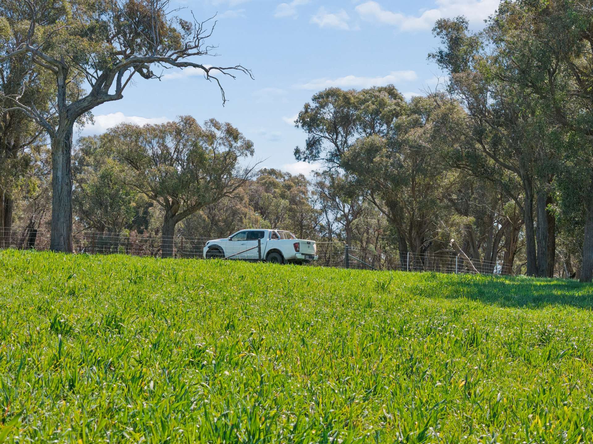57 Clarke Road, VIA LAGGAN, Crookwell For Sale by Farmbuy.com - image 16