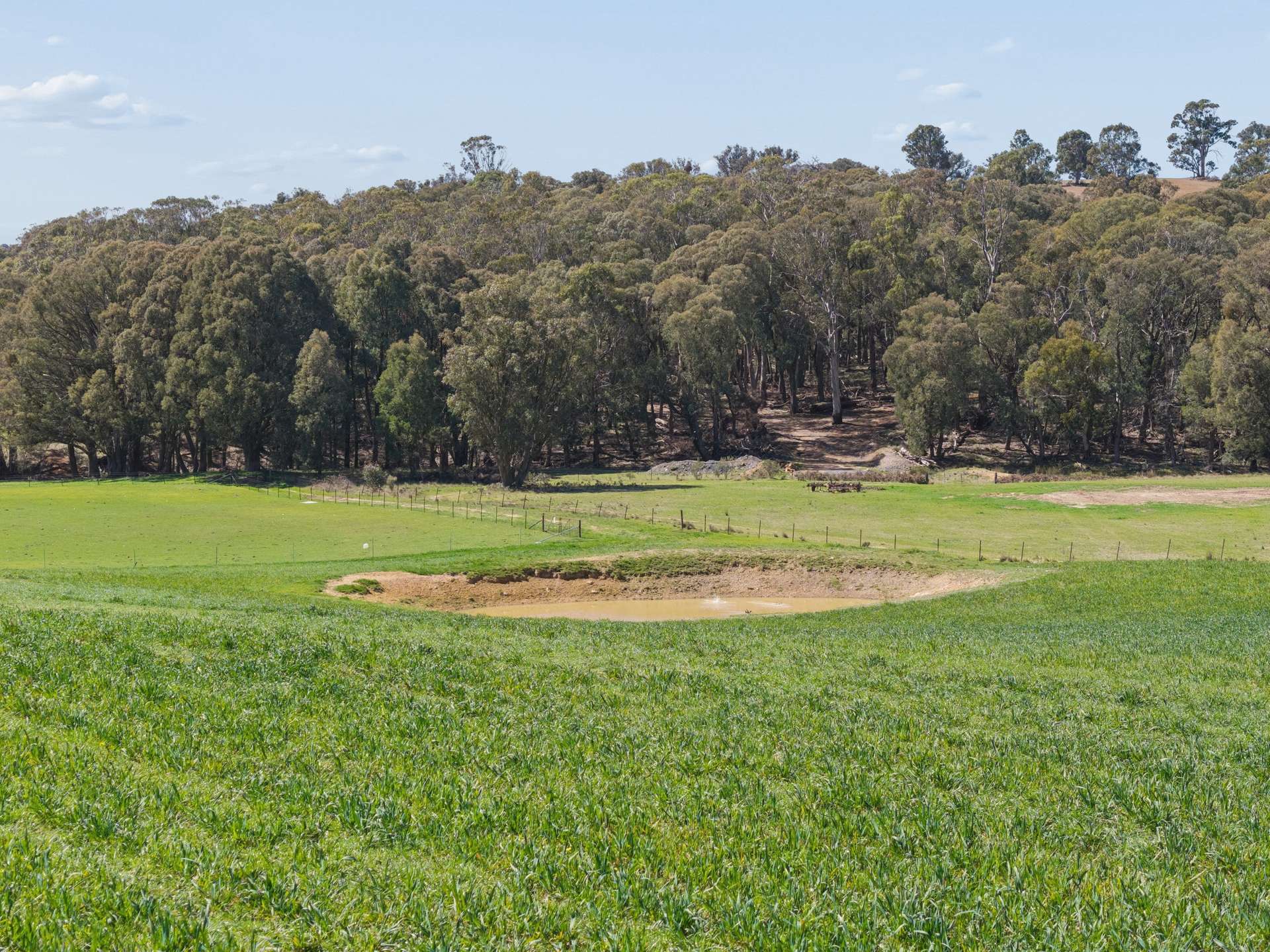 57 Clarke Road, VIA LAGGAN, Crookwell For Sale by Farmbuy.com - image 15