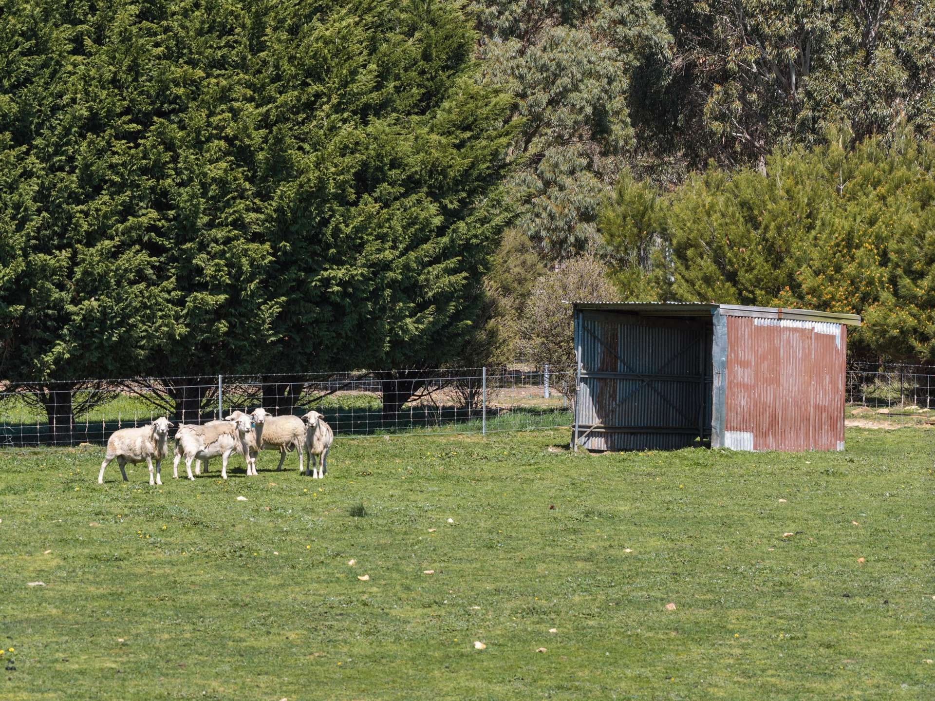 57 Clarke Road, VIA LAGGAN, Crookwell For Sale by Farmbuy.com - image 12