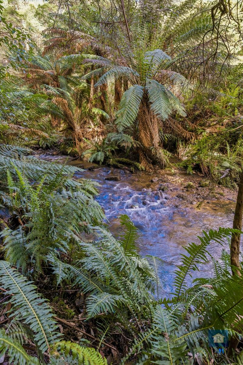 255 Upper Gellibrand Road, Barramunga For Sale by Farmbuy.com - image 16