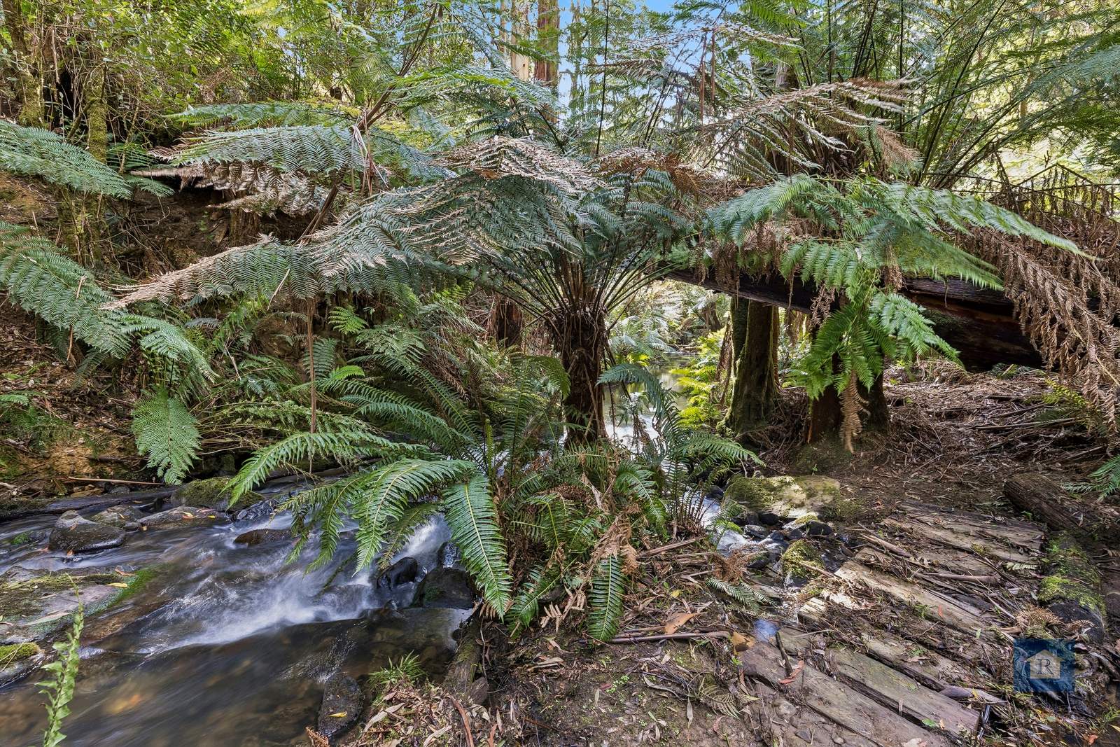 255 Upper Gellibrand Road, Barramunga For Sale by Farmbuy.com - image 18