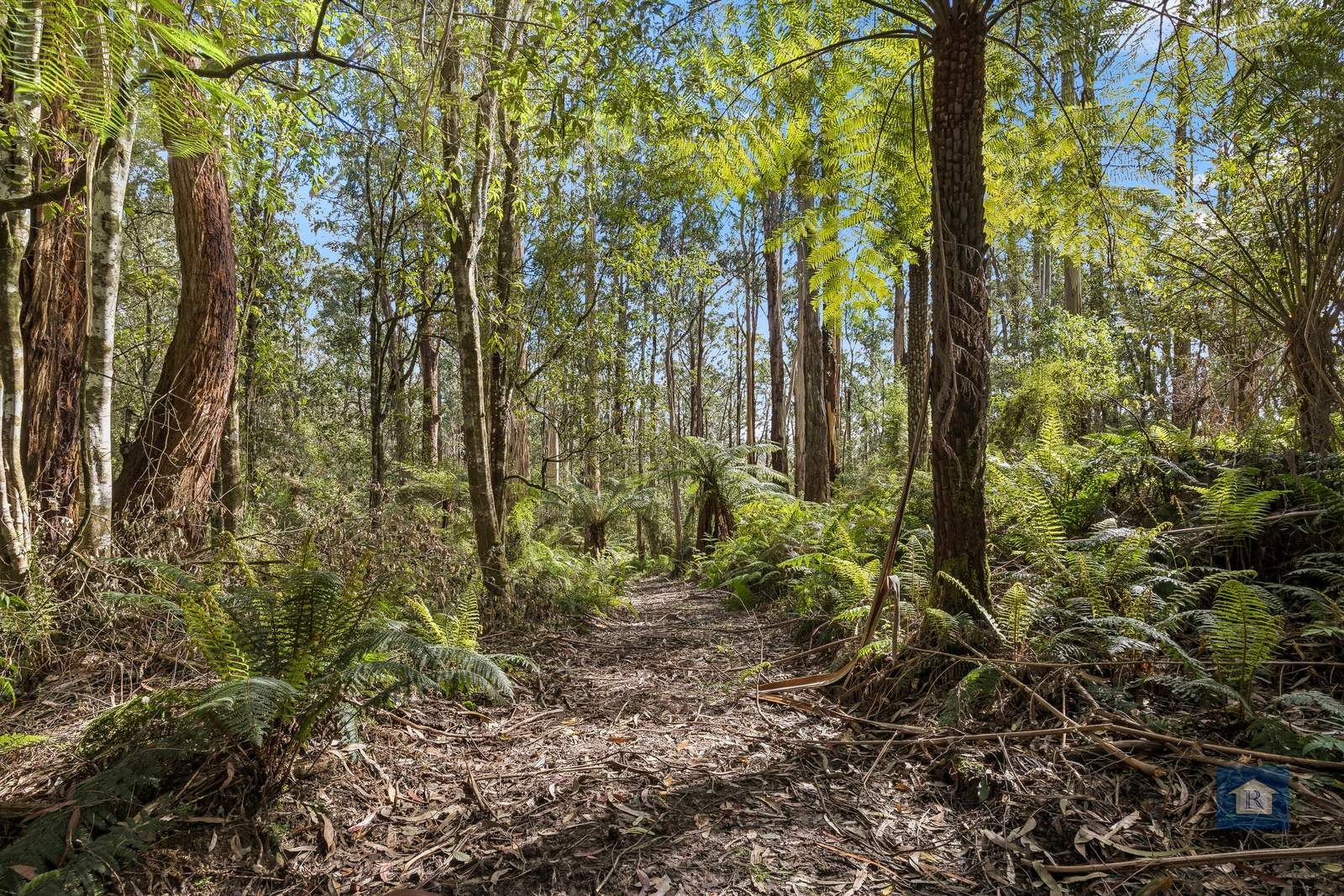 255 Upper Gellibrand Road, Barramunga For Sale by Farmbuy.com - image 15