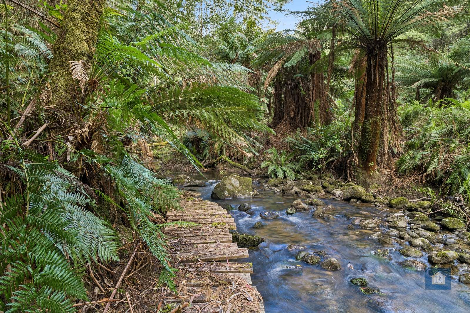 255 Upper Gellibrand Road, Barramunga For Sale by Farmbuy.com - image 19