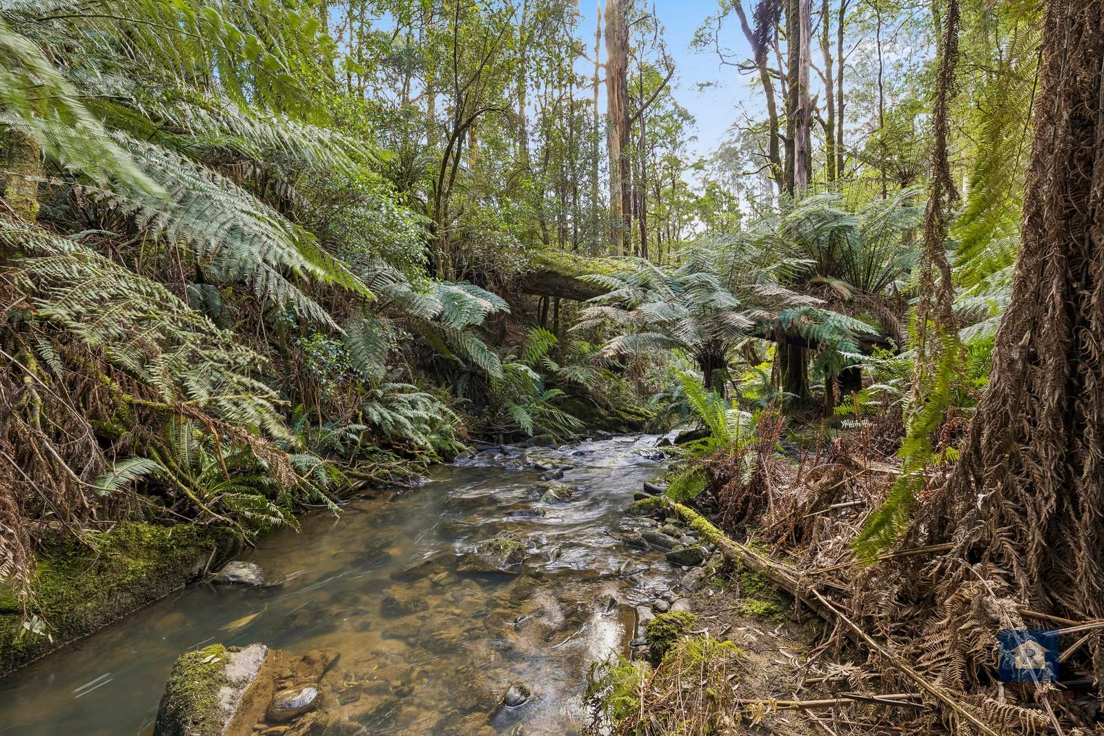 255 Upper Gellibrand Road, Barramunga For Sale by Farmbuy.com - image 17