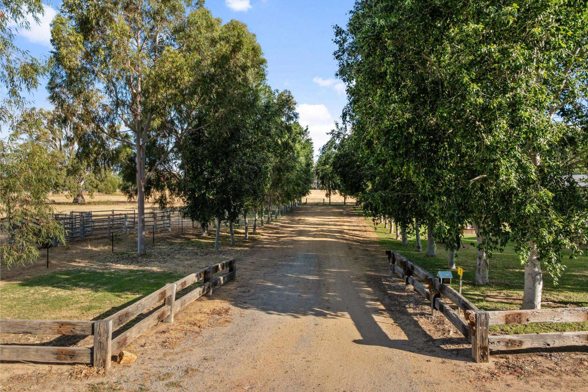 7 Mclays Road, Narrandera Auction by Farmbuy.com - image 2